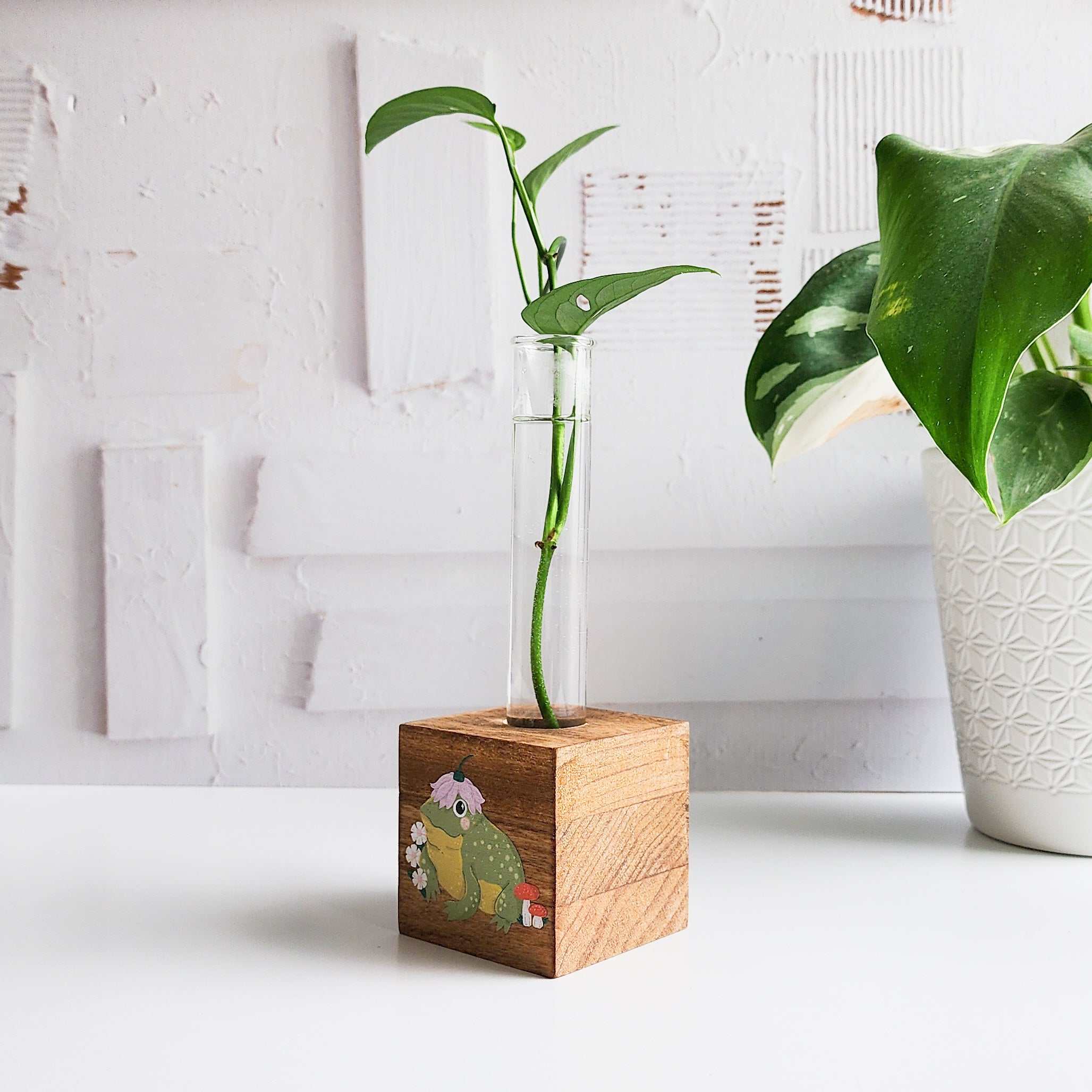 wooden block propagation with glass tube and plant cutting and an image of a frog printed on the front on a white background