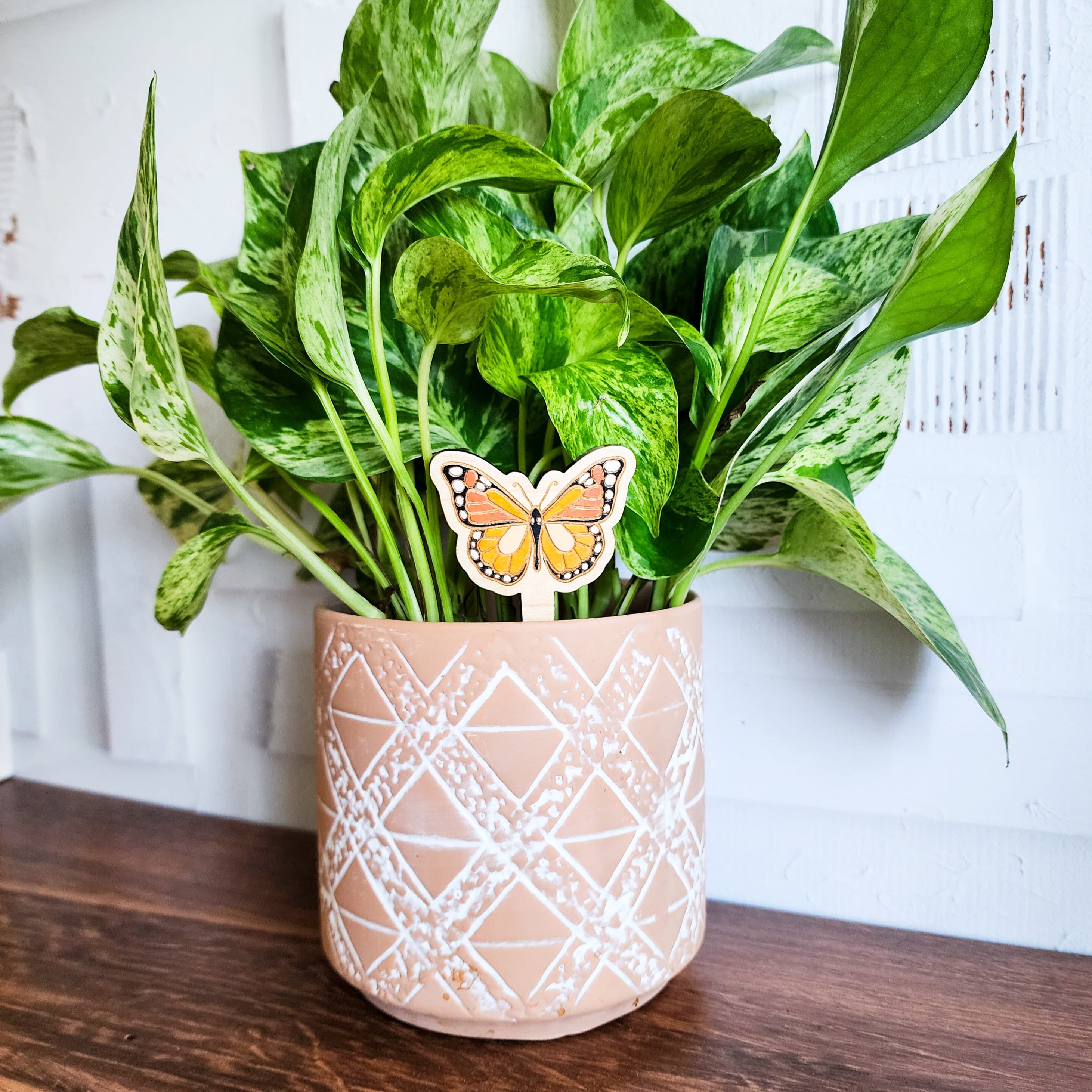 butterfly plant pick in a houseplant