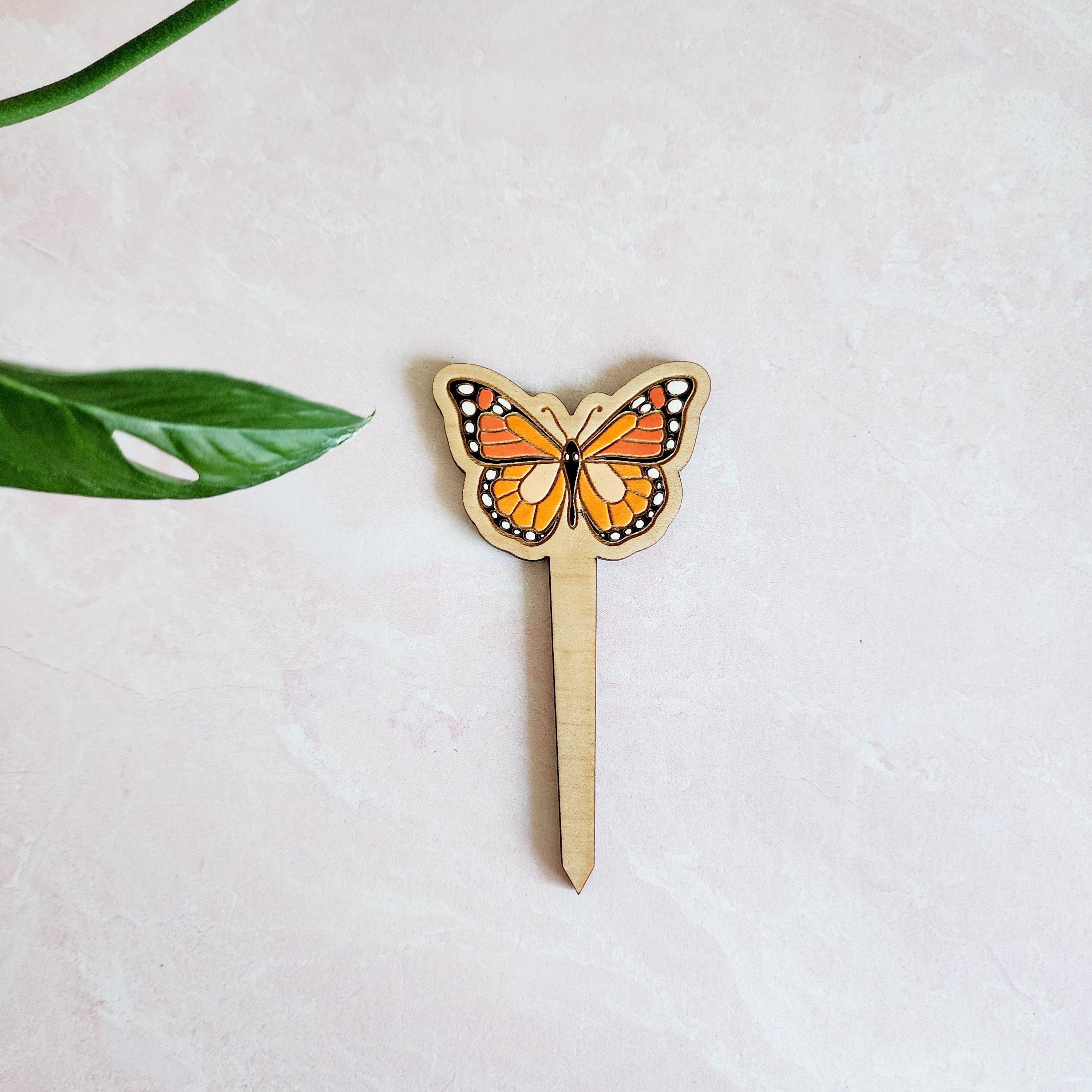 butterfly plant pick pink background