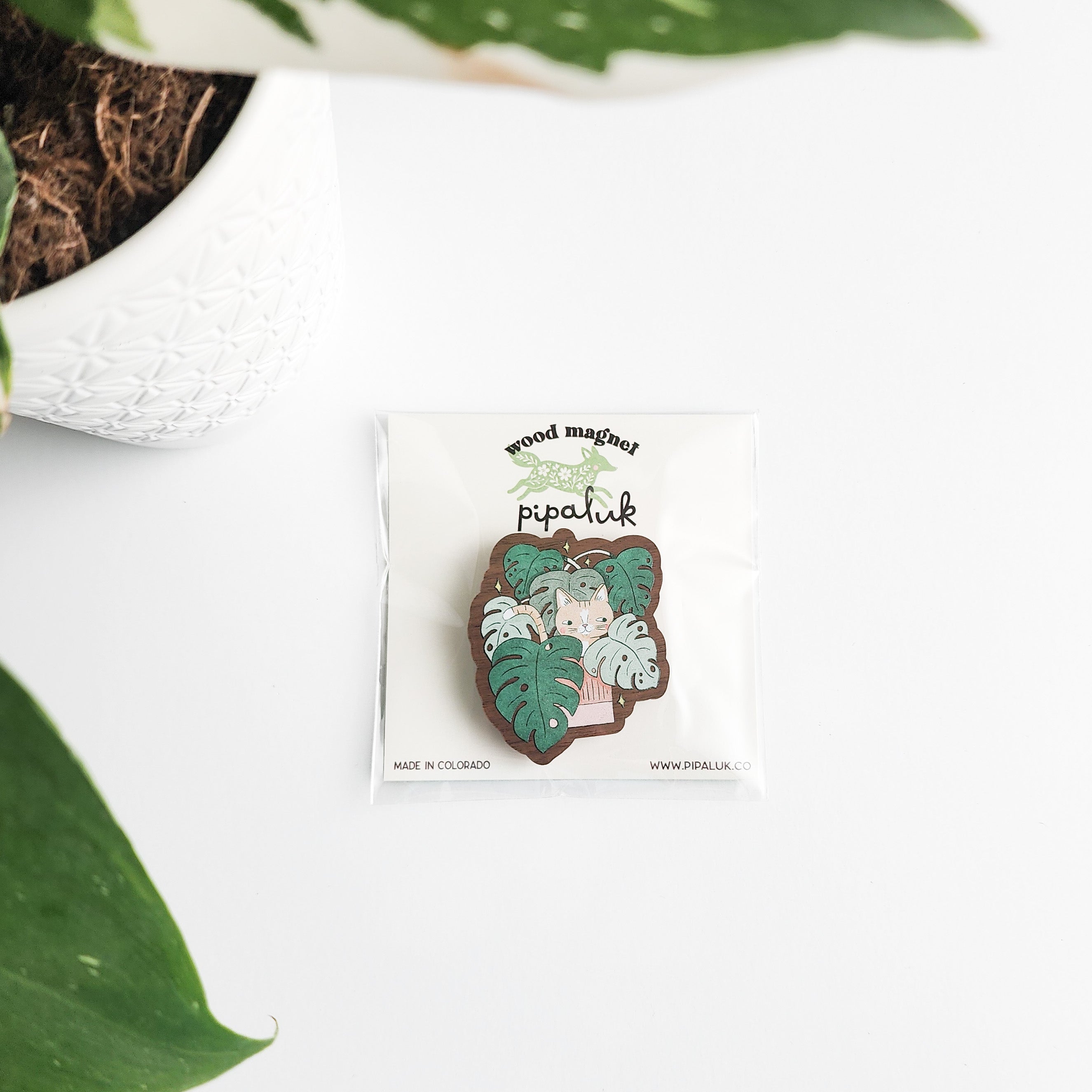 cat magnet in pipaluk packaging on a whitea background with a leaf