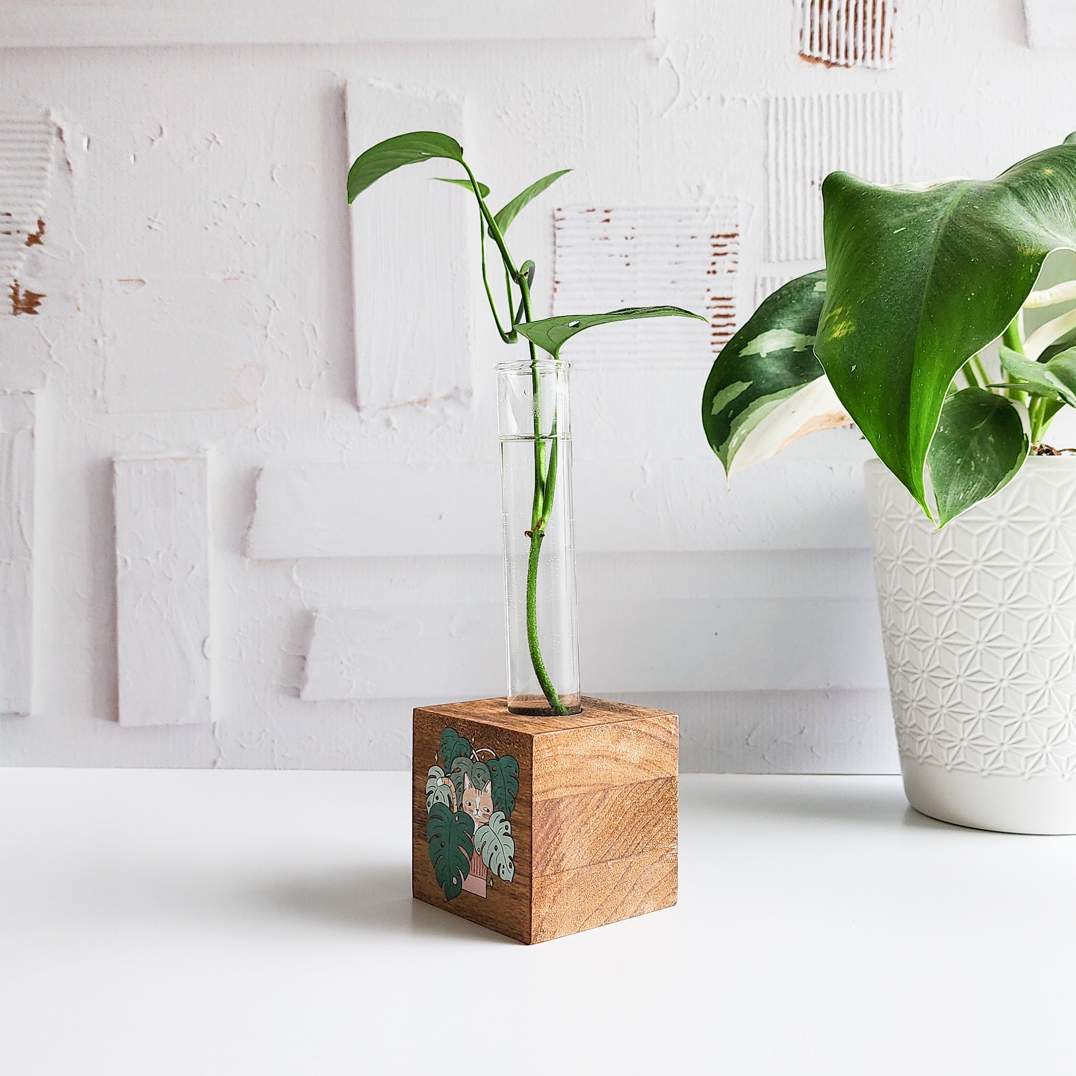 wood propagation block with a glass tube and plant cutting with the image of a cat in a monstera plant on front