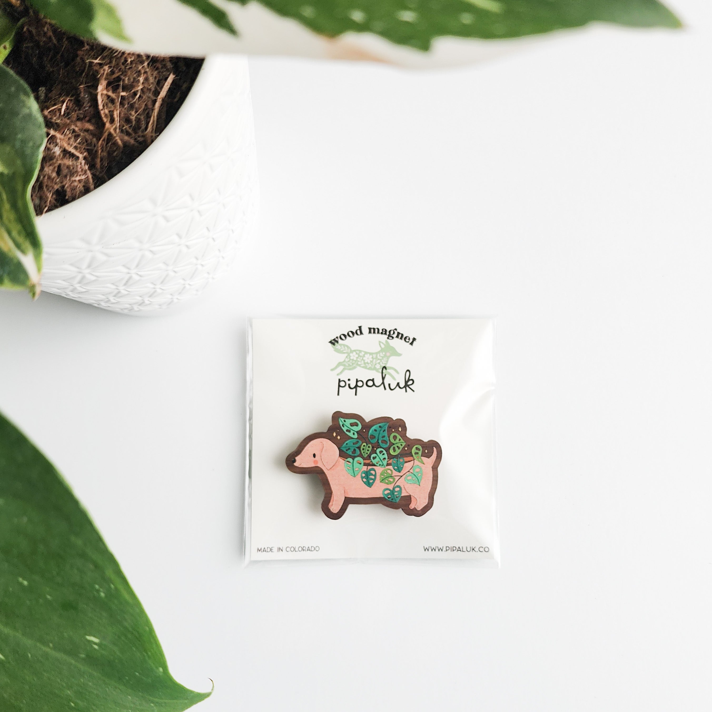 dachshund planter magnet in pipaluk packaging on a white background with leaves