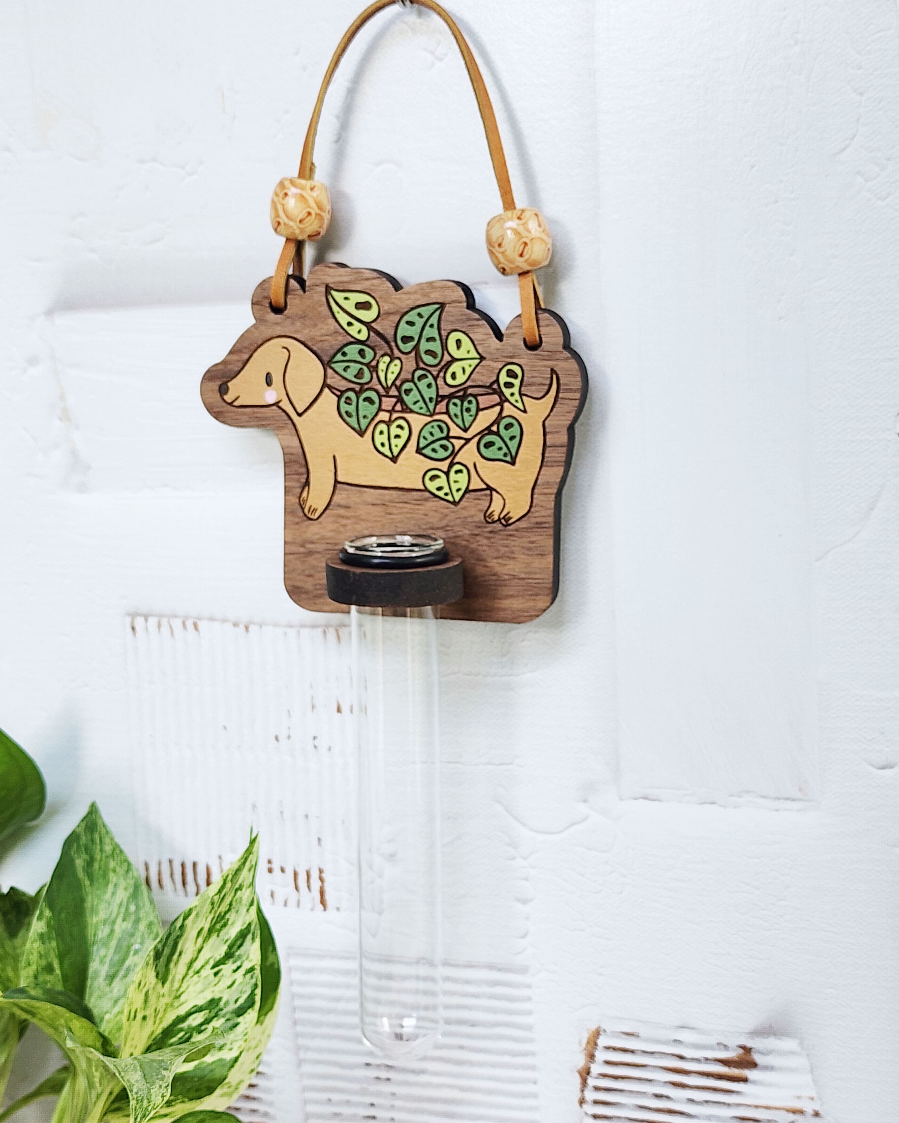 propagation station painted with a dachshund planter hanging on a wall