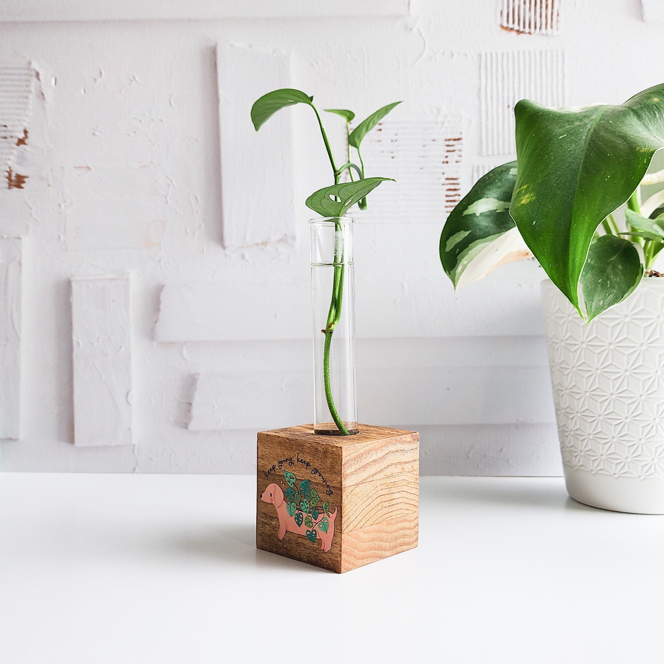 dachshund wooden propagation station with a wooden block and glass tube with a green plant cutting on a white background