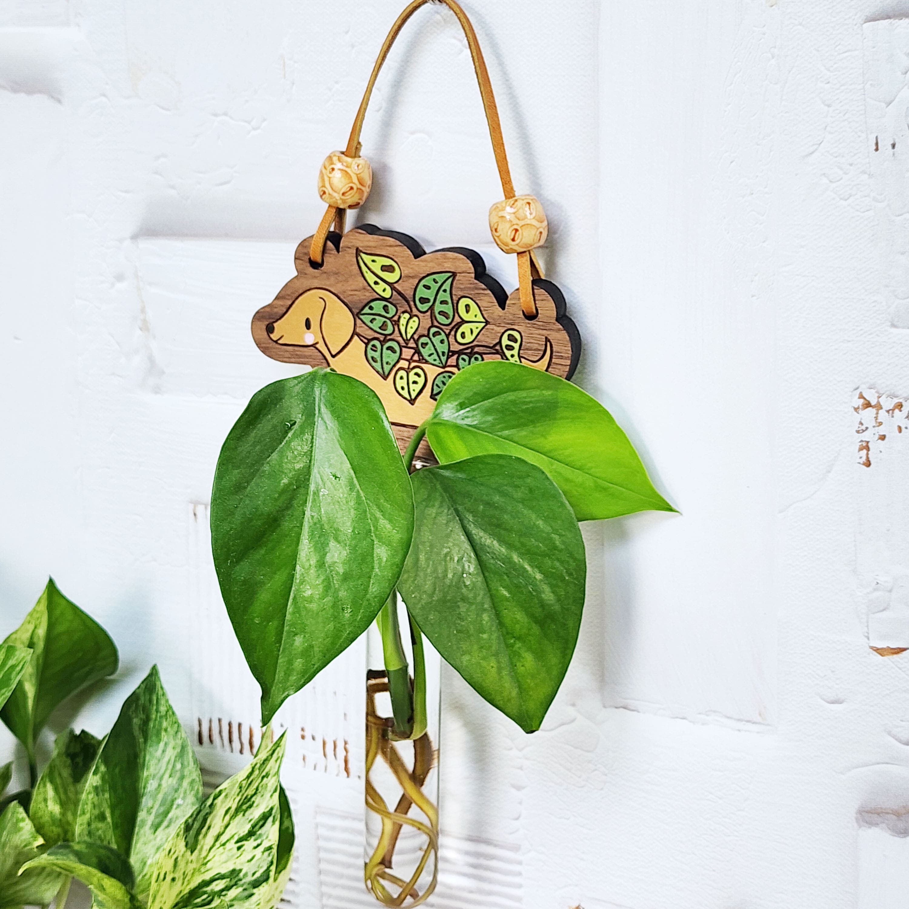 propagation station with a dachshund painted on to it, hanging on a wall with a green plant