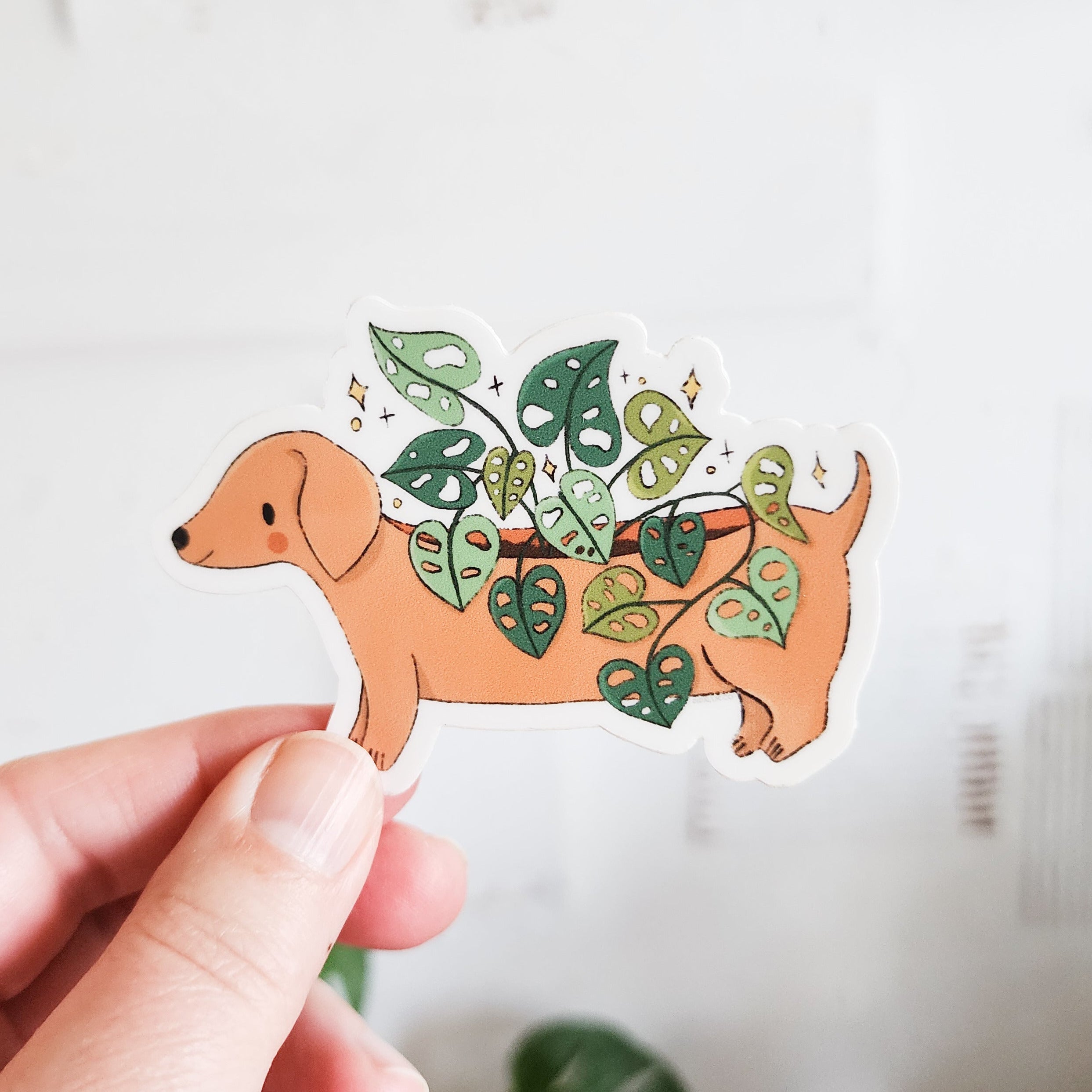 dachshund planter sticker held in a hand