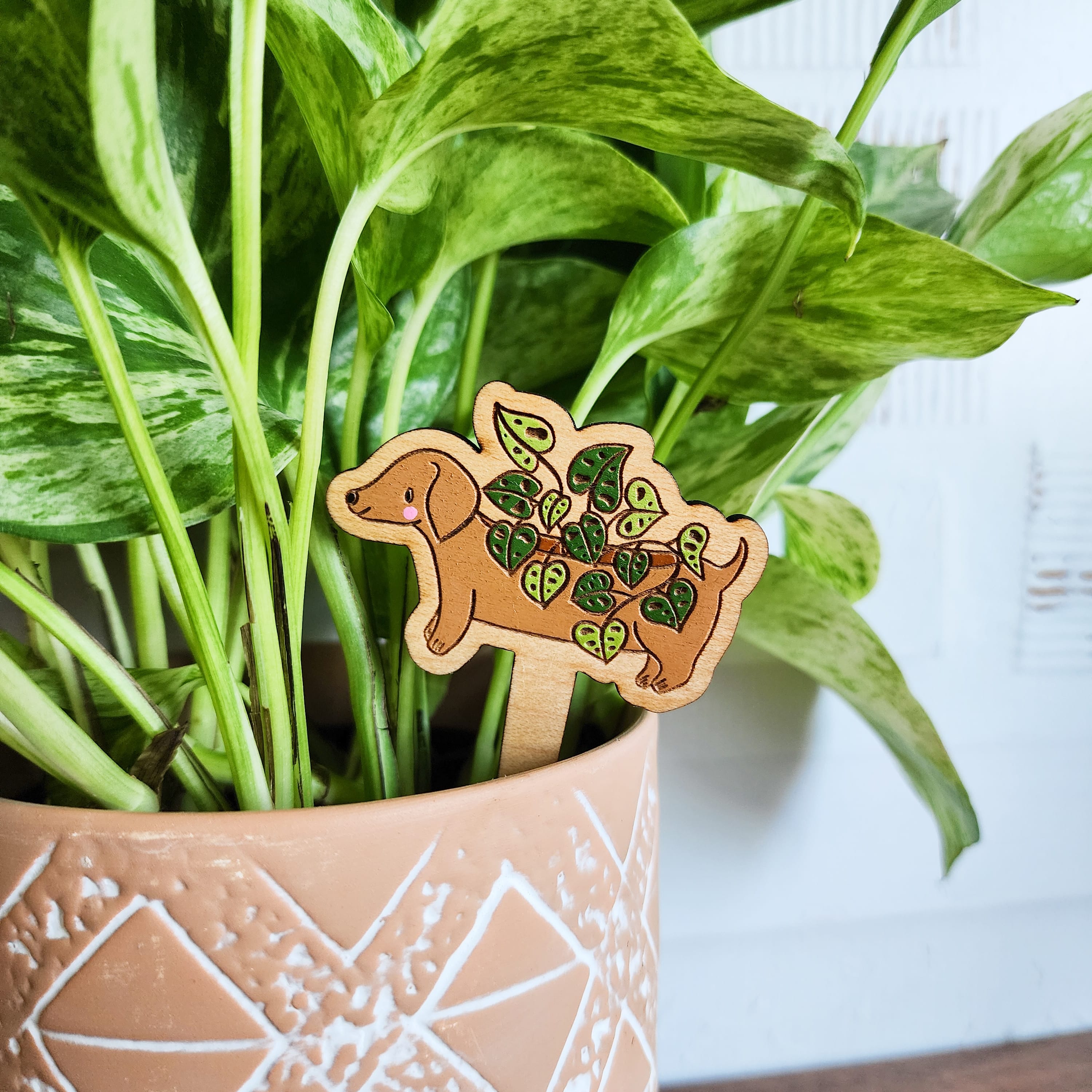 dachshund plant pick in a plant