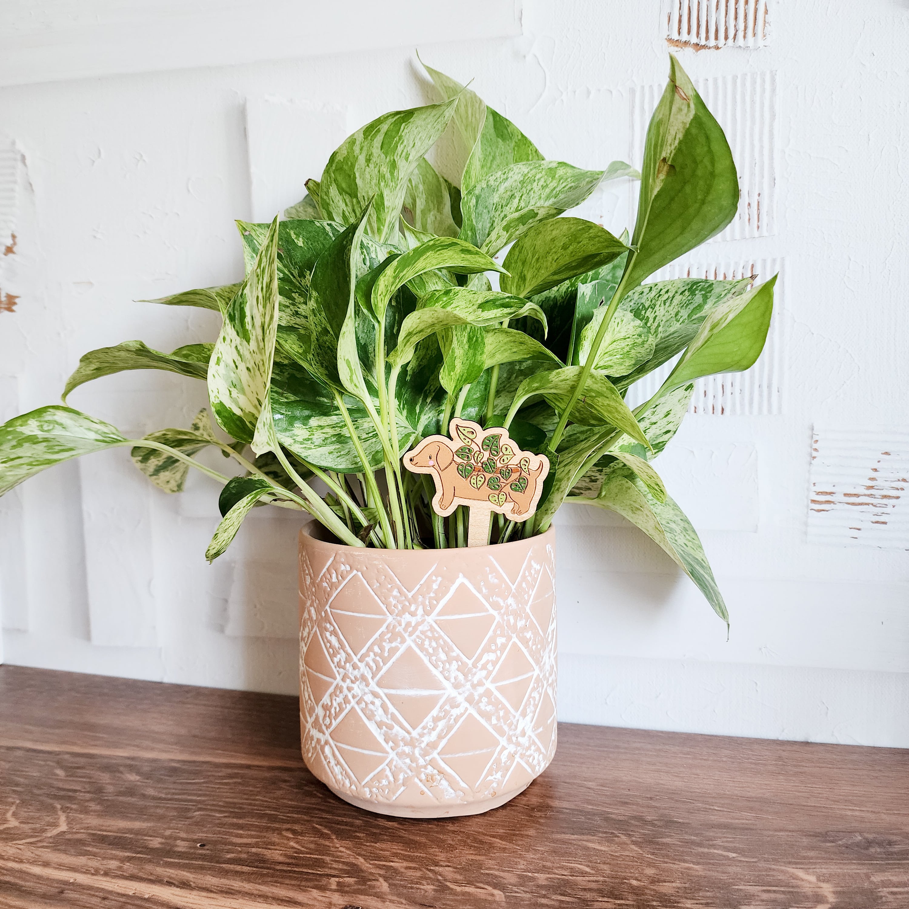 dachshund plant stake in a potted plant