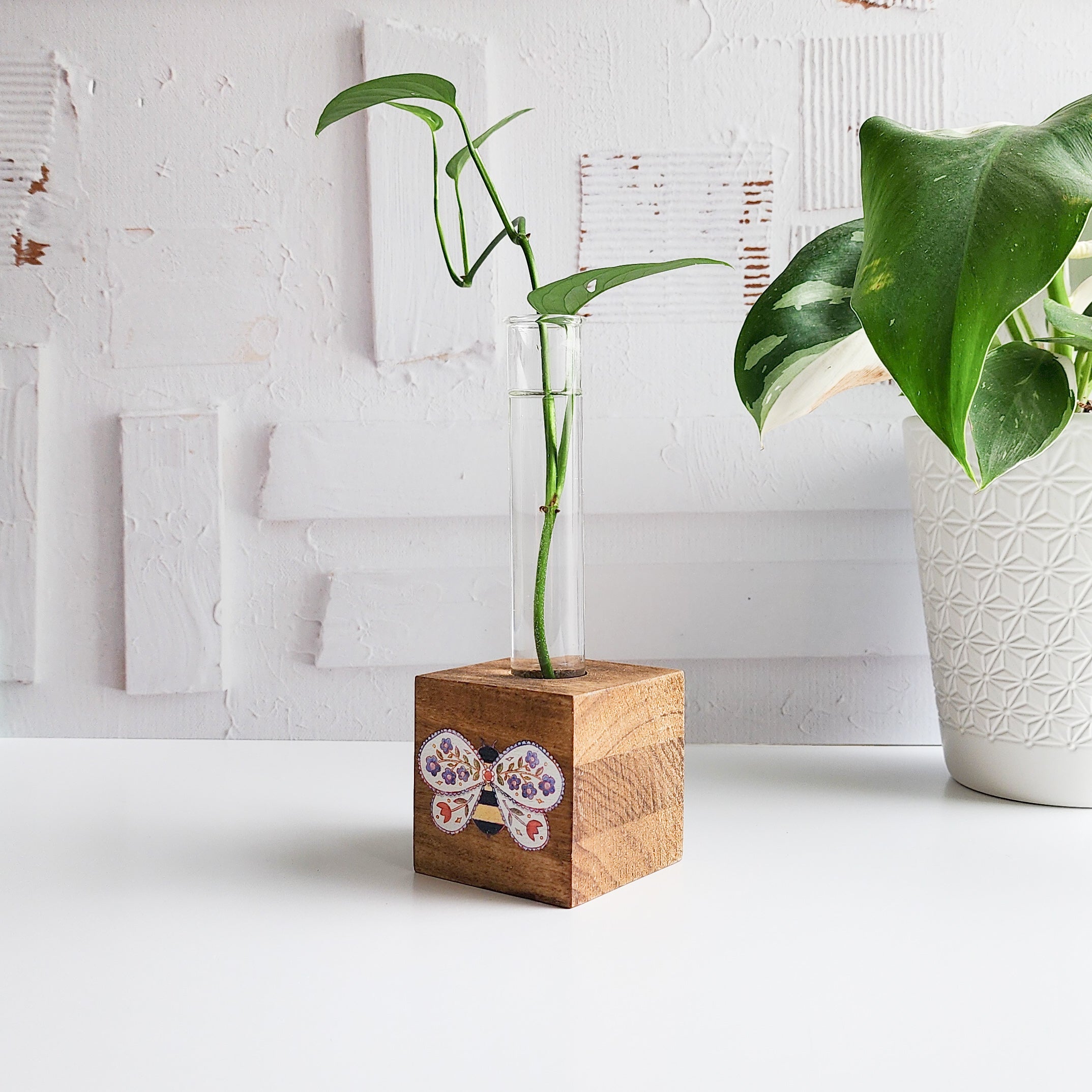 wooden propagation station with a glass tube and green plant and a bee illustration on the front