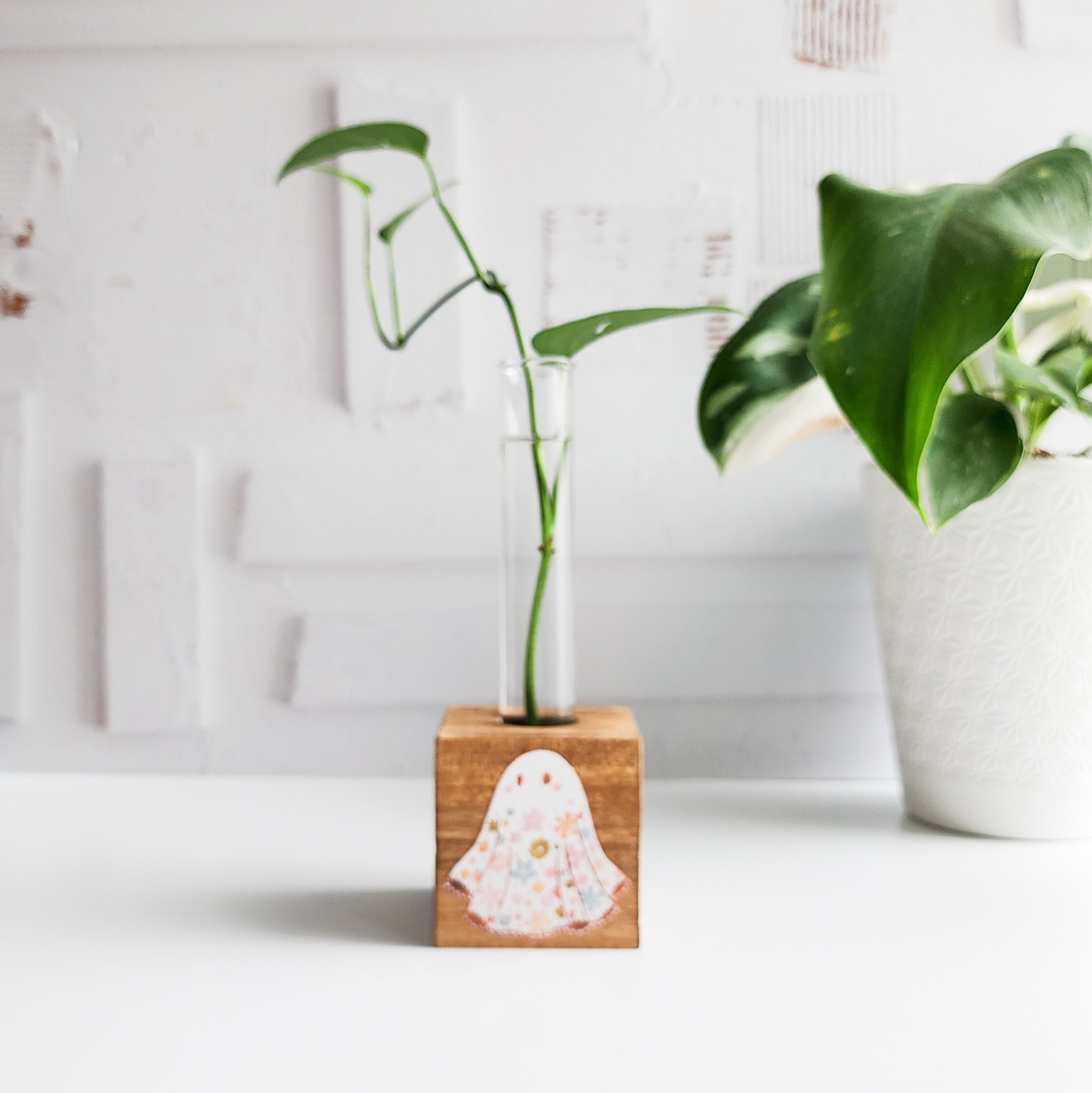 wooden block propagation station printed with a floral ghost. It has a glass tube with a green plant cutting on a white background.