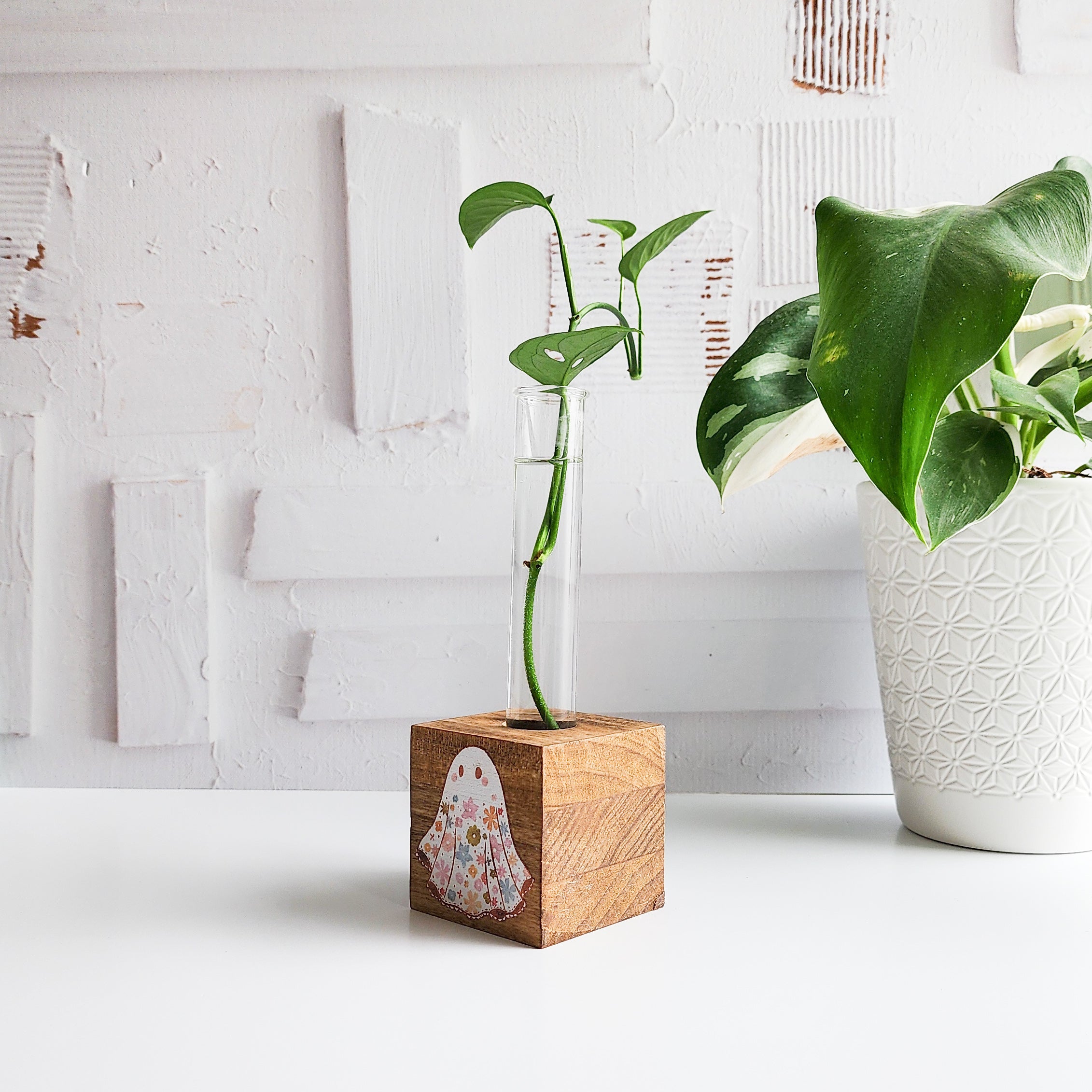 wooden block propagation station printed with a floral ghost. It has a glass tube with a green plant cutting on a white background.
