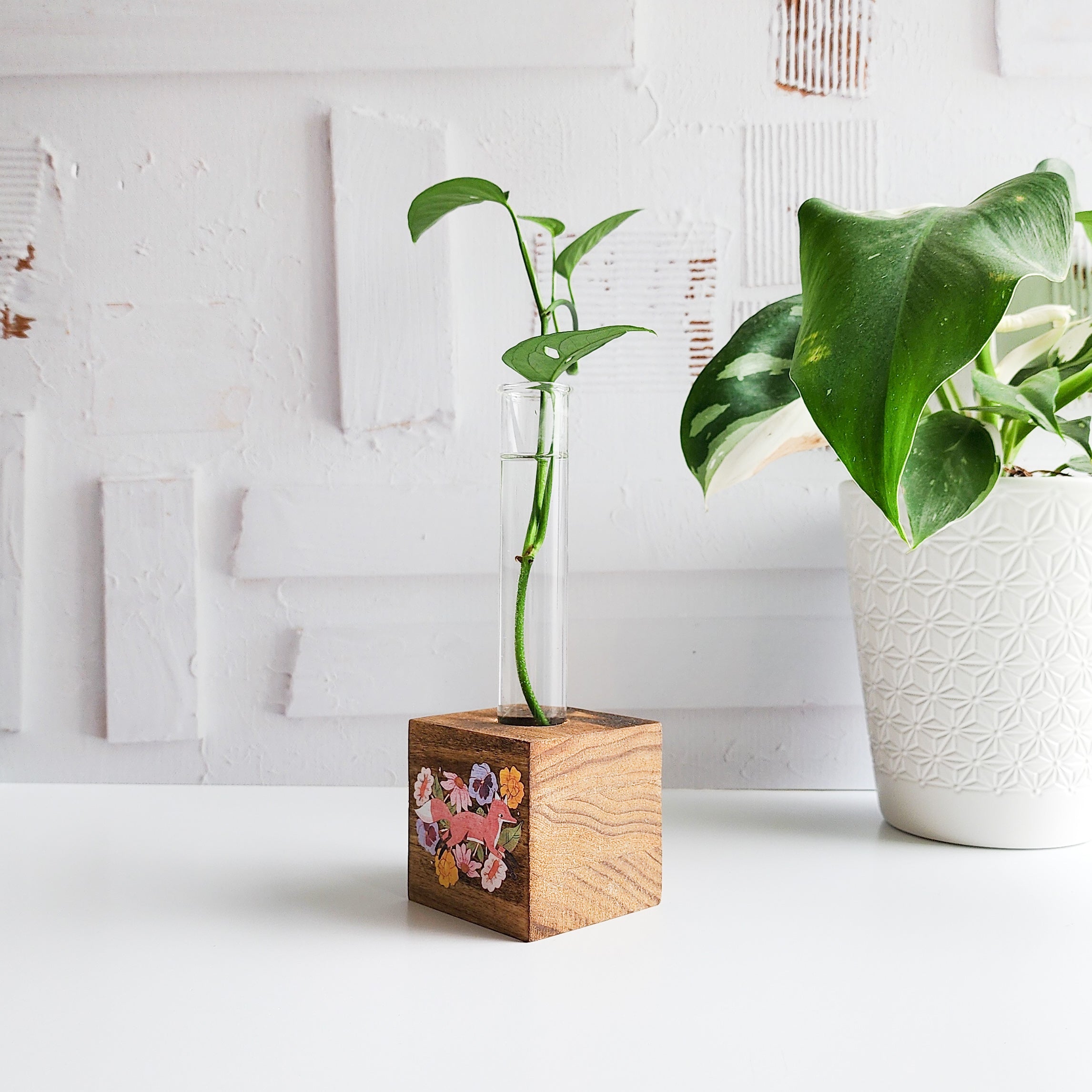 propagation block with a fox design, and a glass tube with a plant cutting on a white background