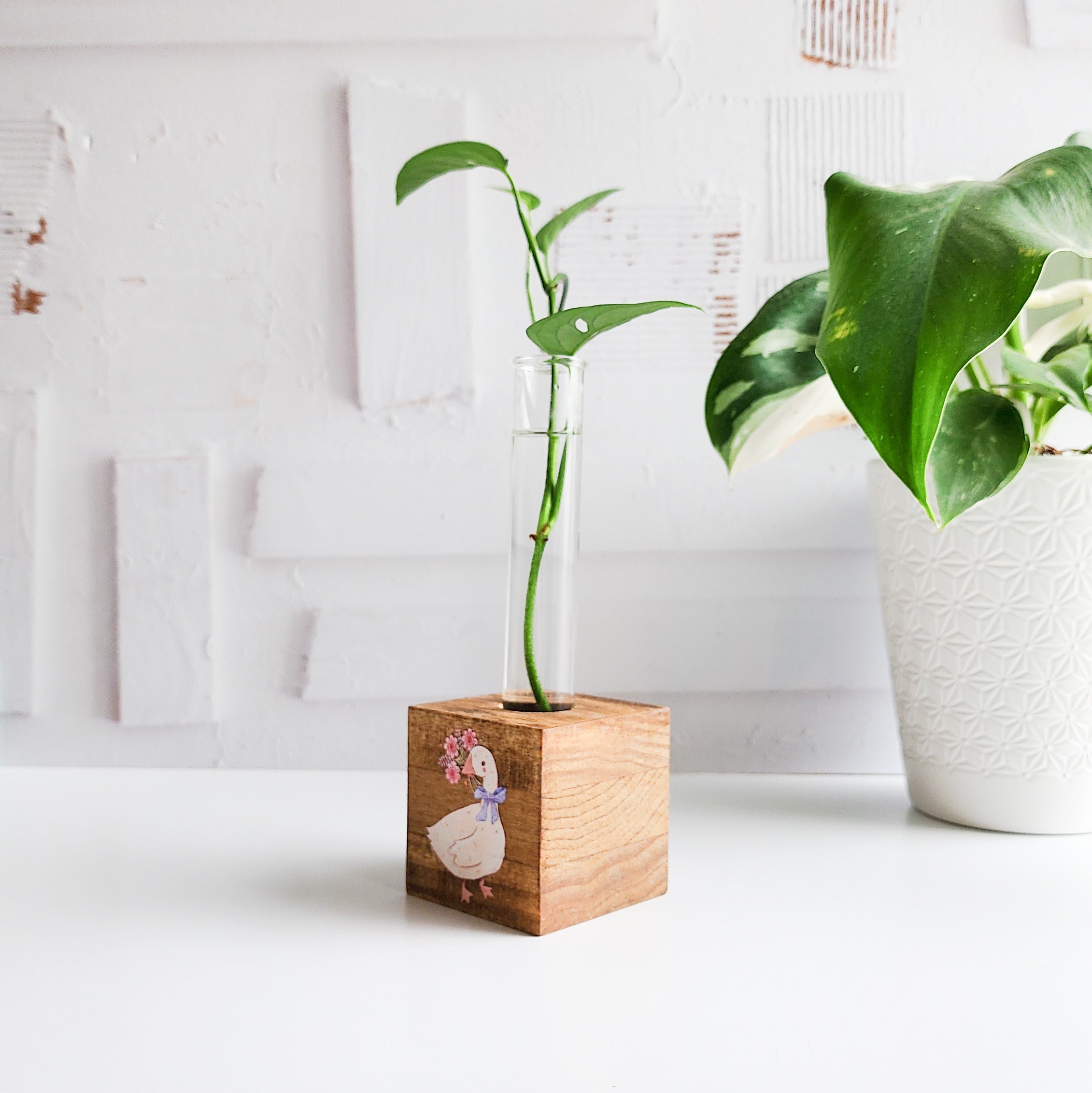 wooden block propagation station with a goose illustration and glass tube on a white background with a green plant cutting