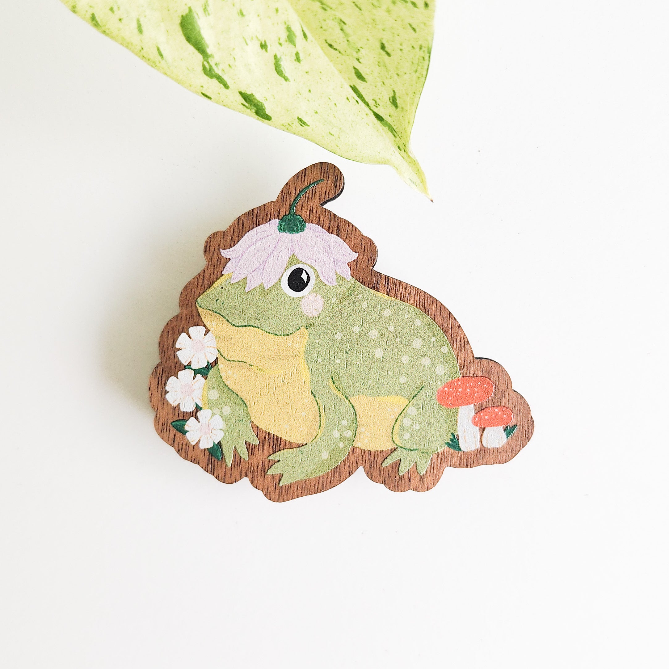 frog magnet on a white background with a leaf