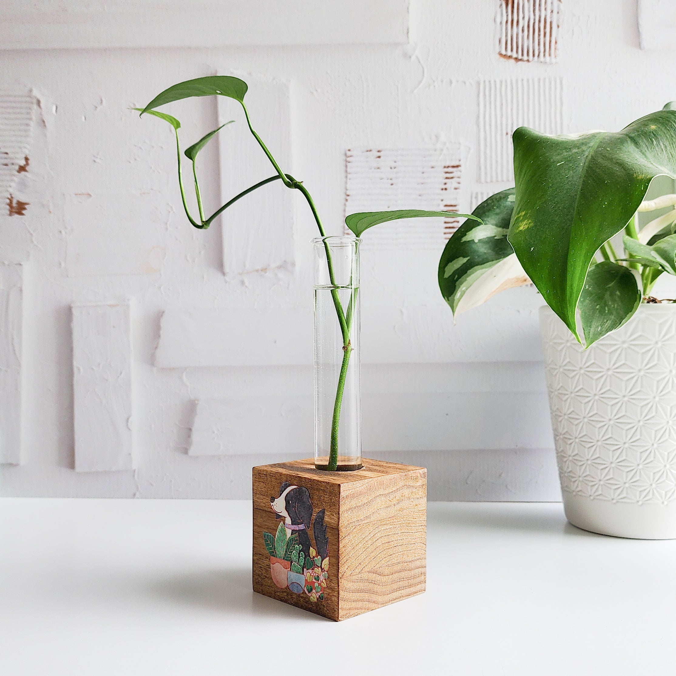 wooden propagation station with a glass tube and plant cutting with the image of a dog and plants printed on front