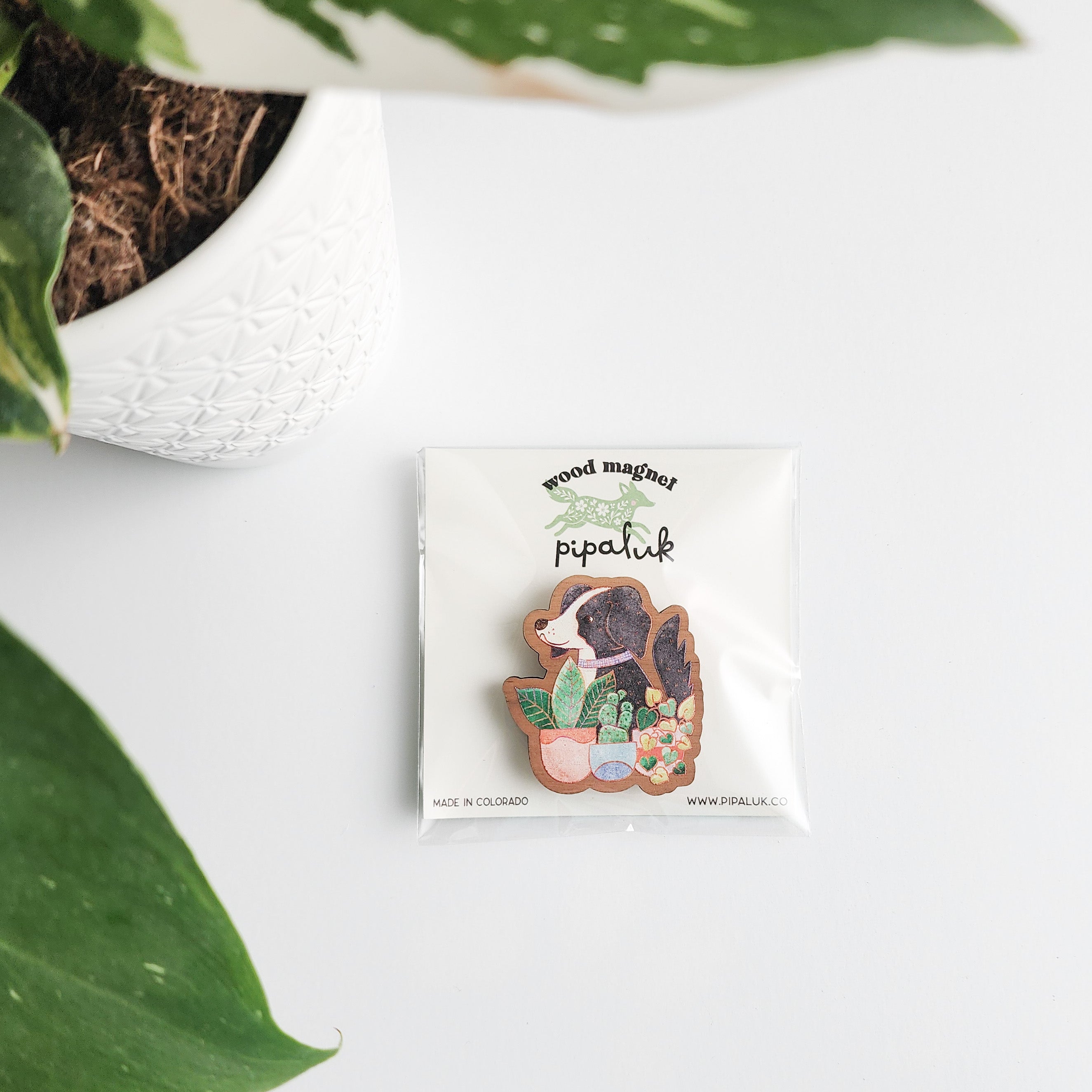 dog and houseplants magnet in pipaluk packaging on a white background with leaves