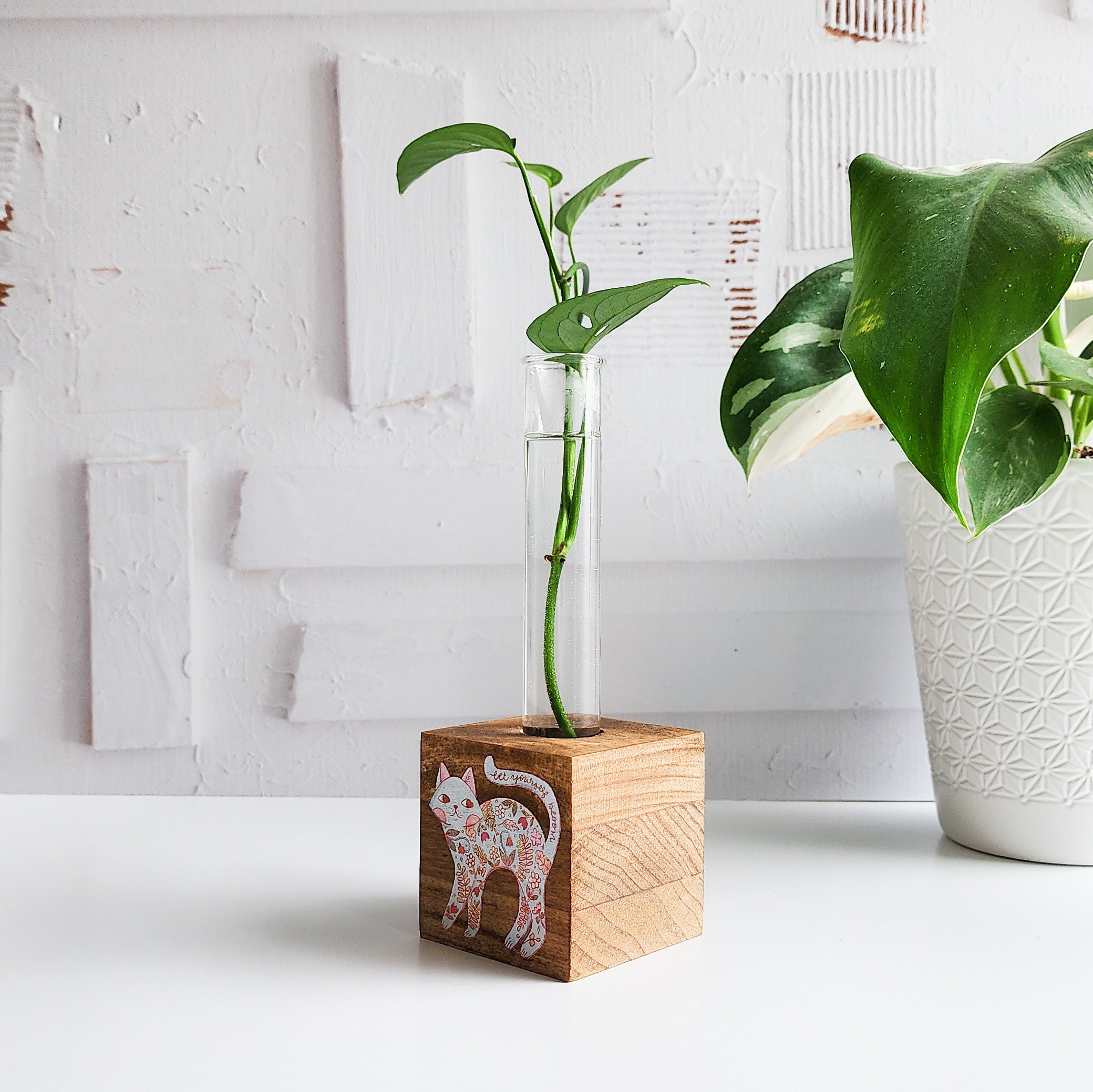 wooden block propagation with a glass tube and plant cutting and image of a cat printed on the front