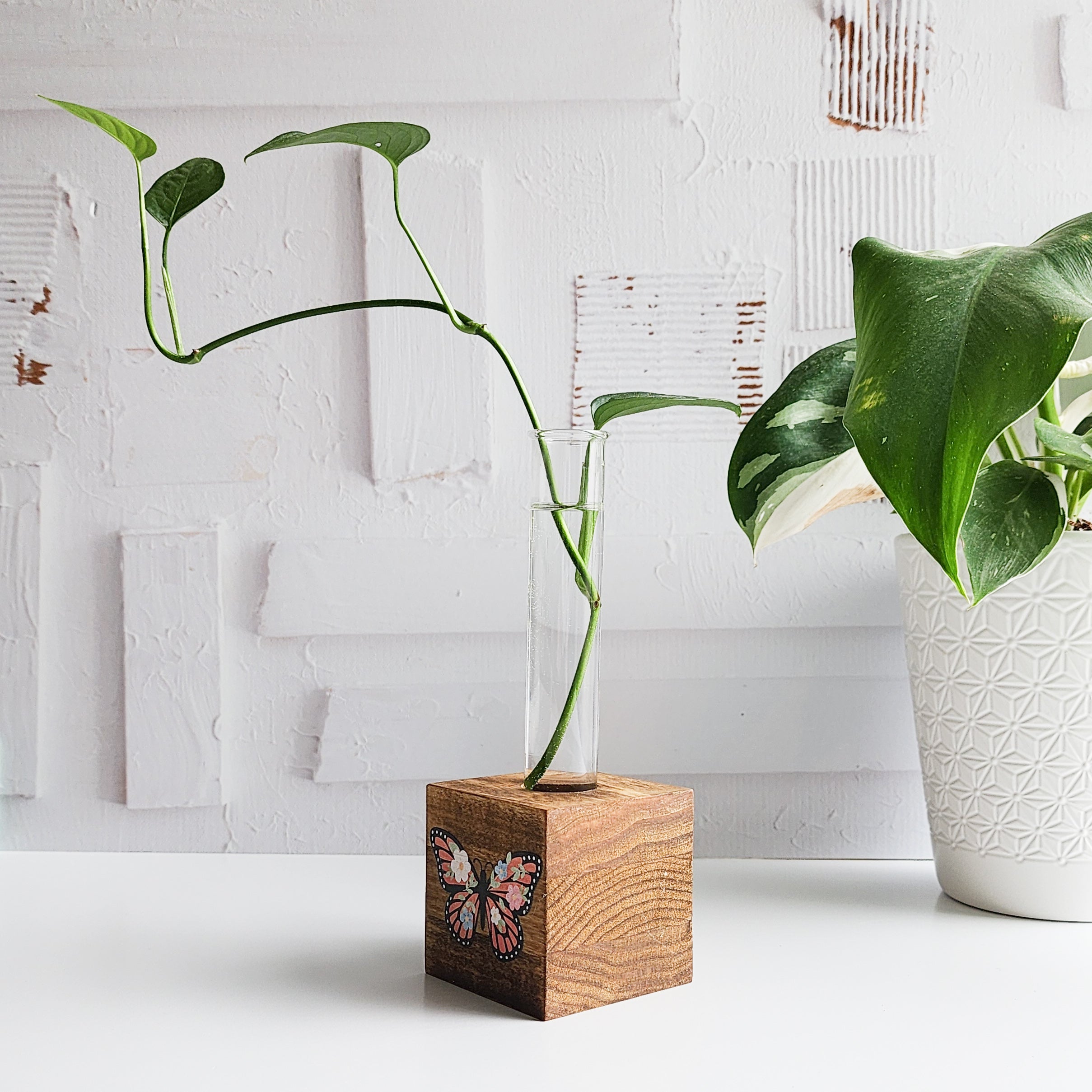 wood block propagation station with a glass tube and plant cutting and a floral butterfly printed on the front