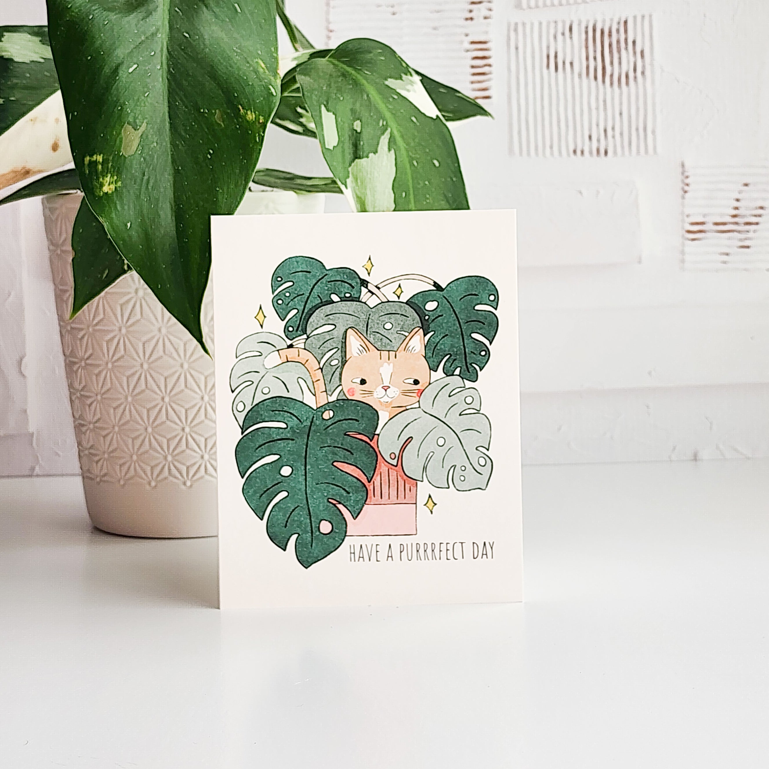 Card with a cat illustration and plant leaves on a white surface with a plant in the background.
