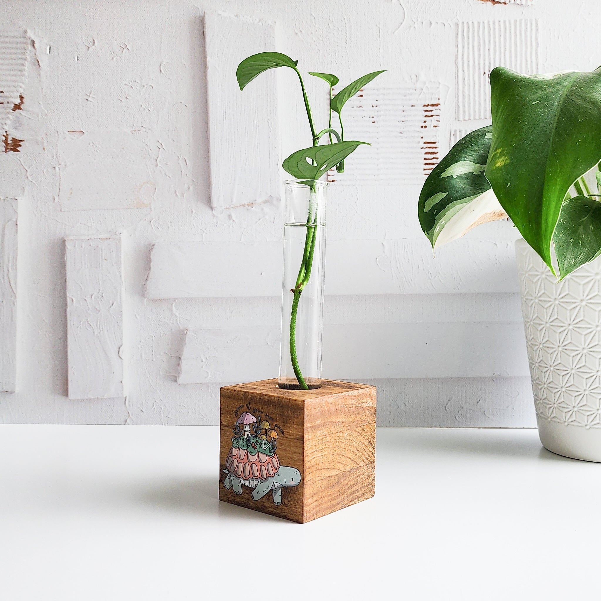 wooden propagation block with a glass tube and plant cutting with an illustration of a turtle on the front
