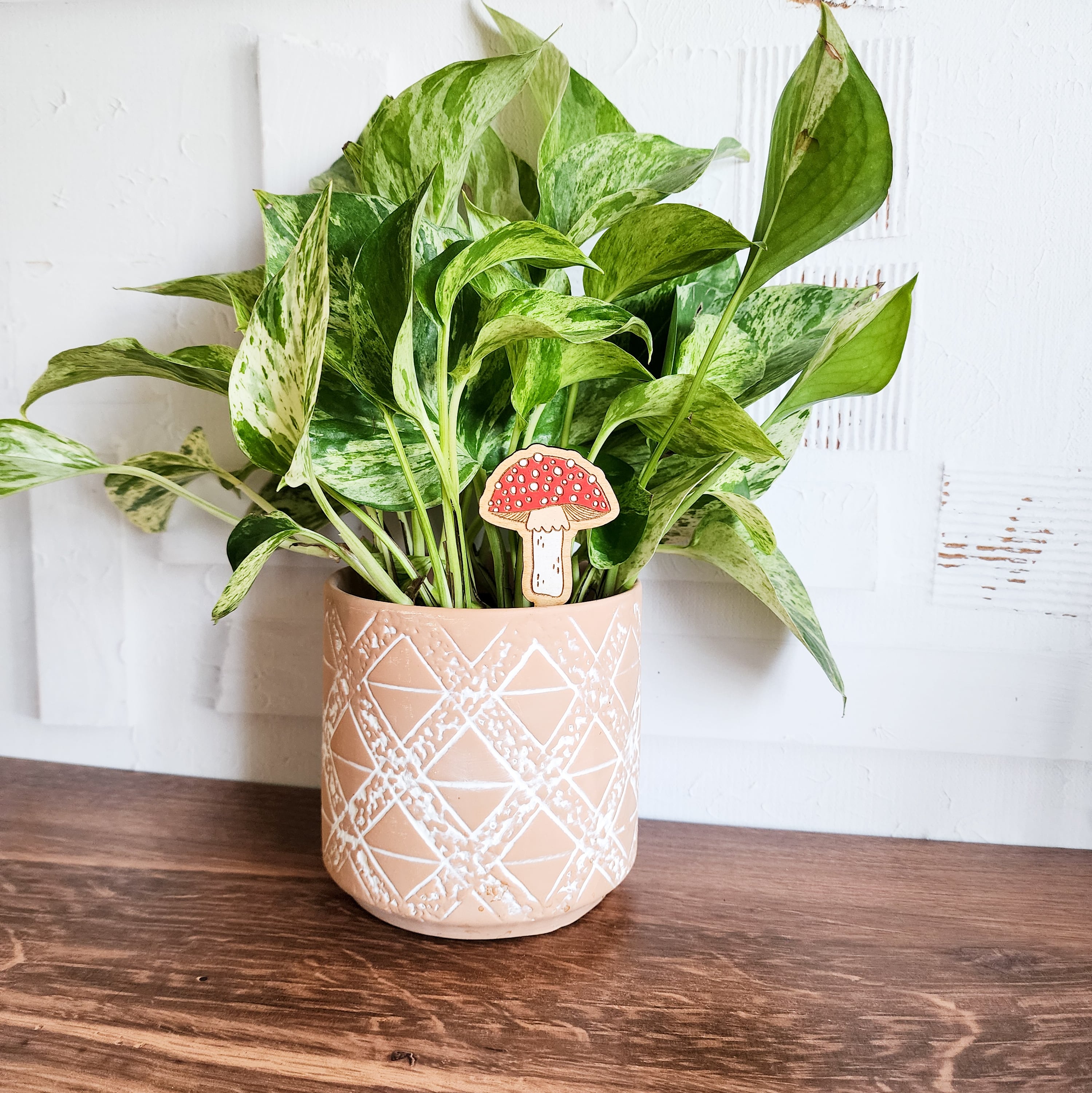 mushroom plant pick in a houseplant