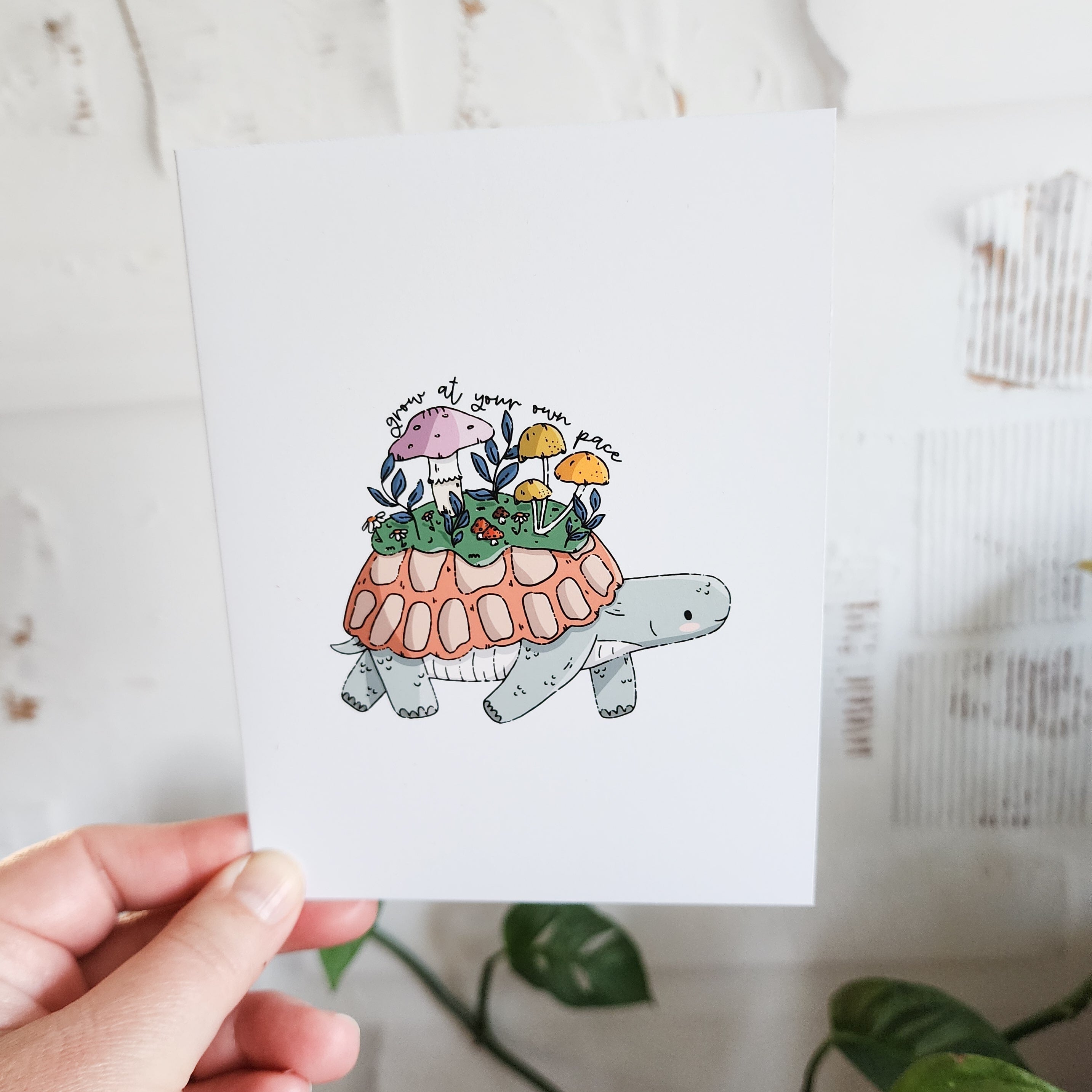 turtle greeting card held in a hand