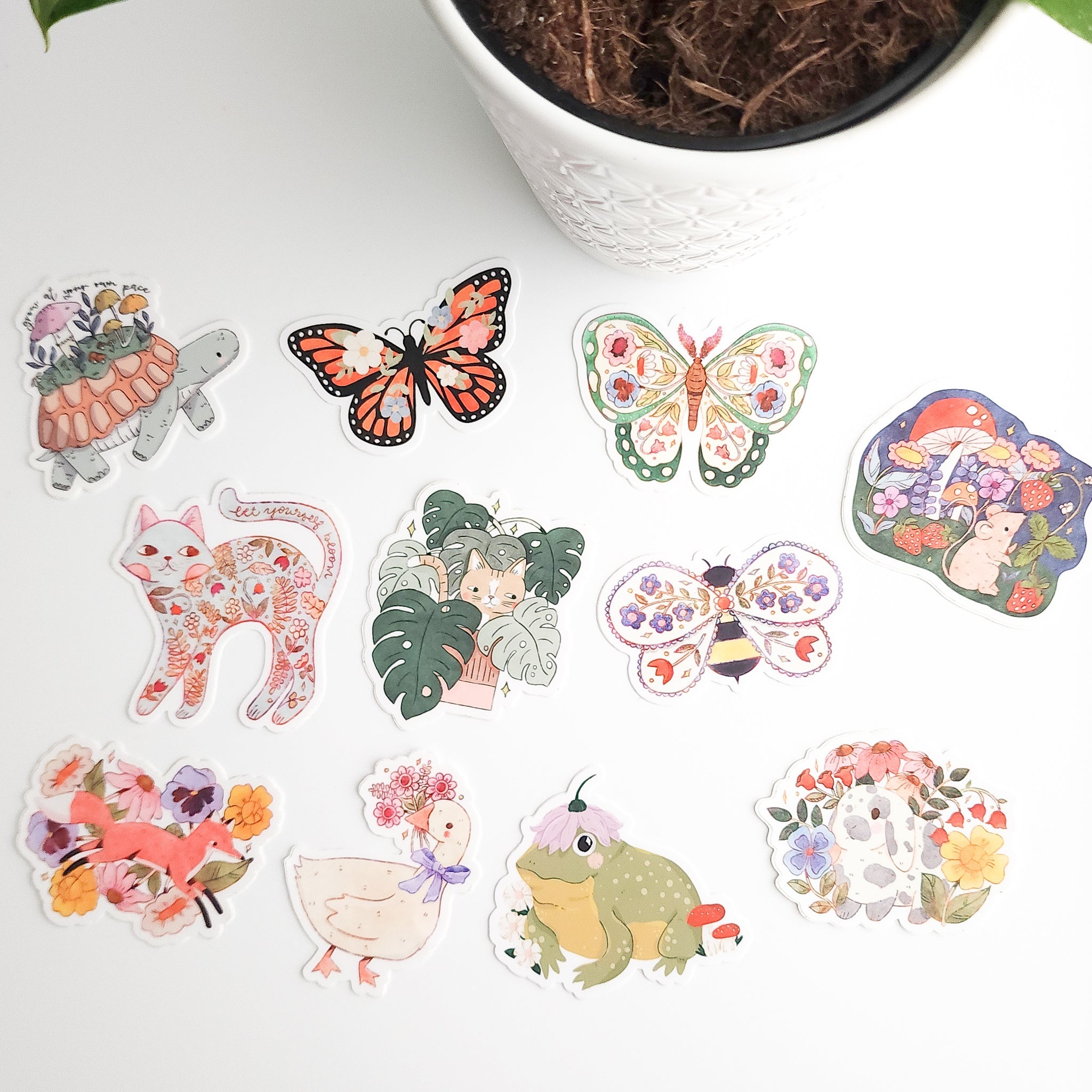 a variety of sticker on a white background next to a potted plant