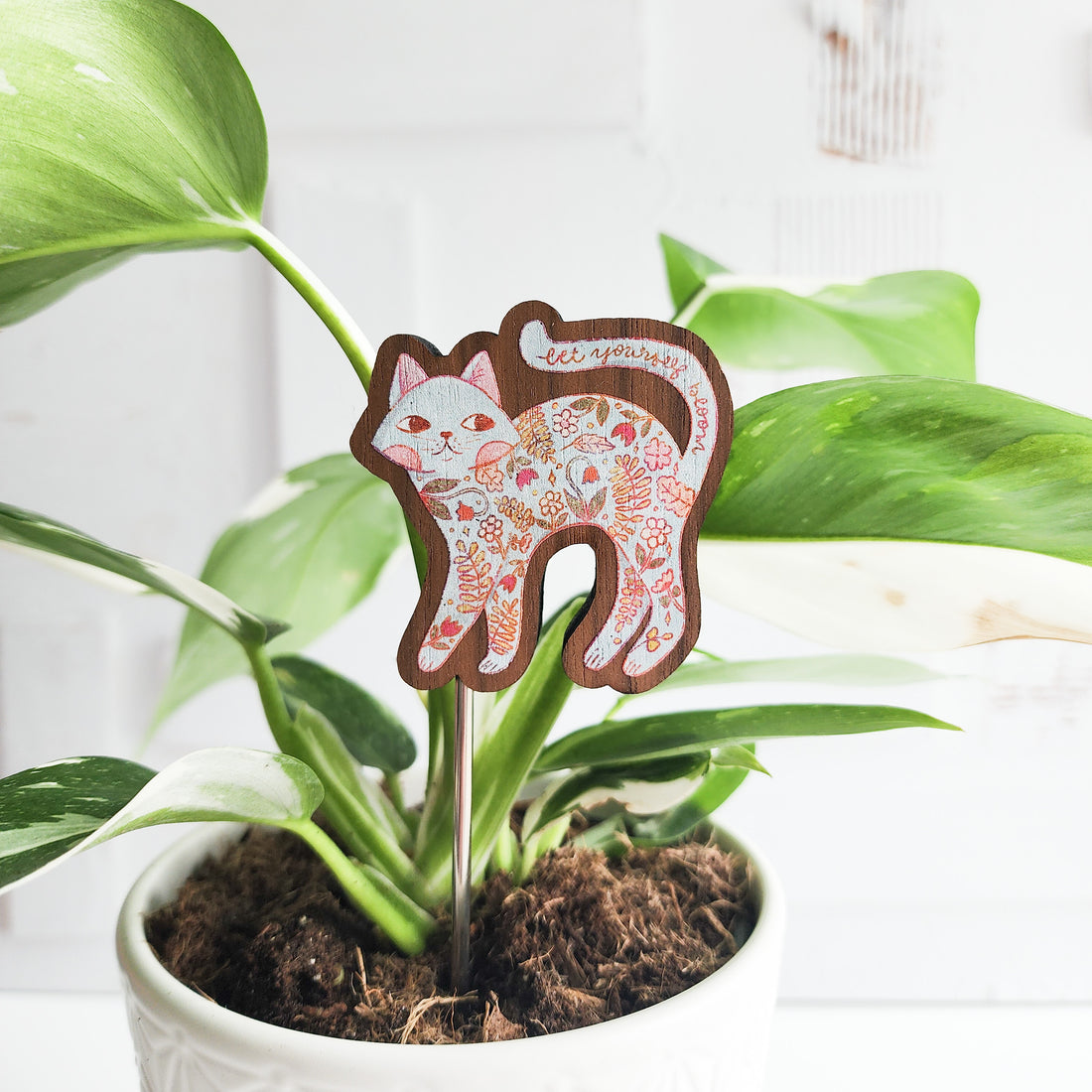 let yourself bloom houseplant flair