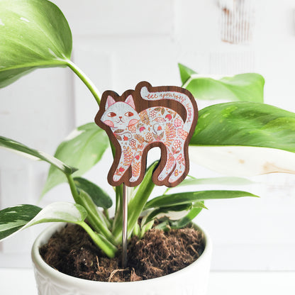let yourself bloom houseplant flair