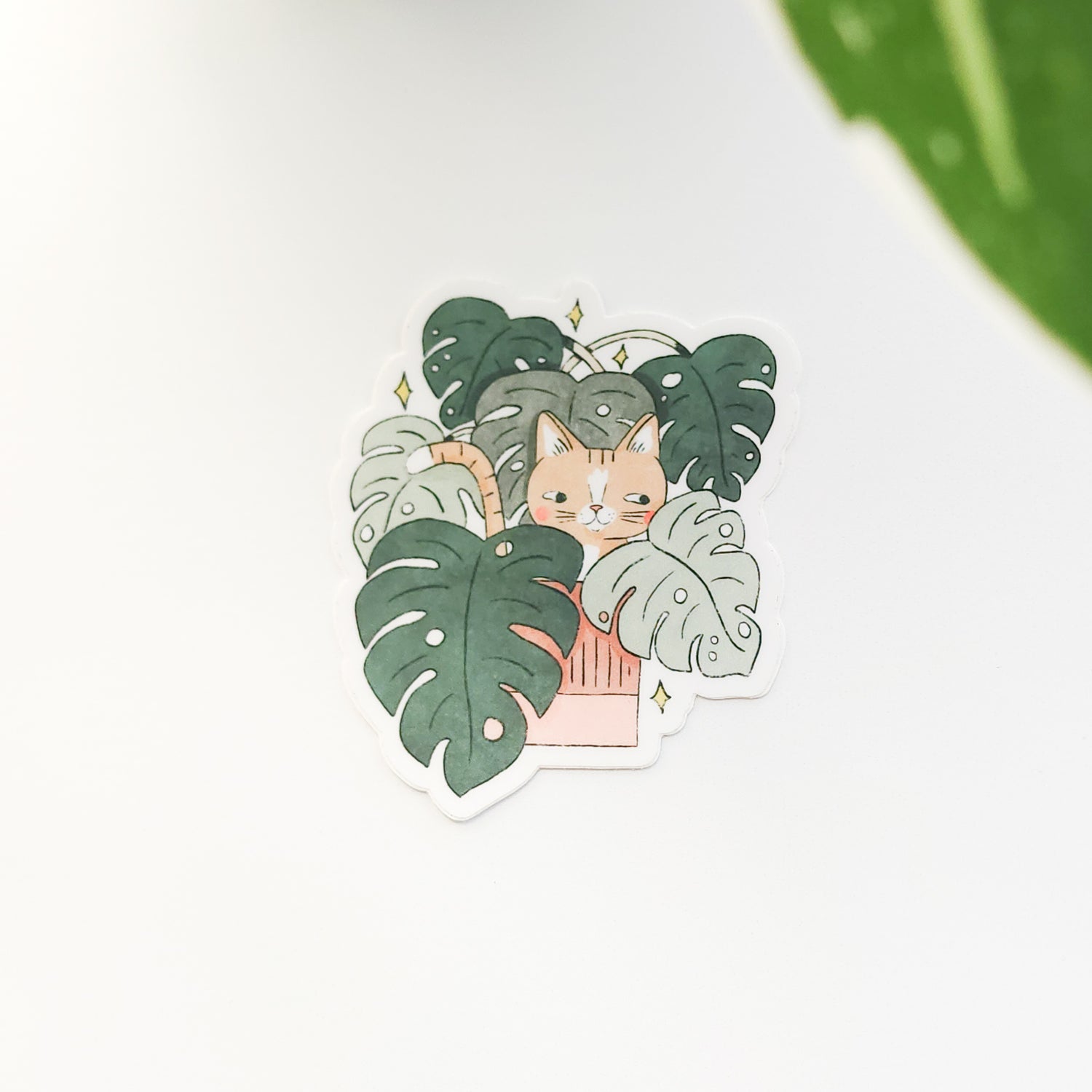 vinyl sticker with an illustration of a cat peeking out from behind monstera leaves on a white background.