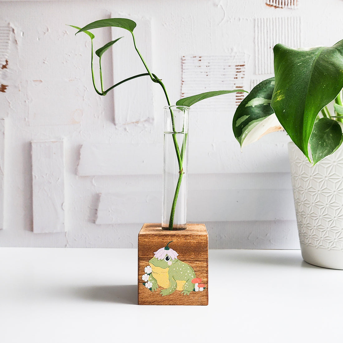 wooden block propagation with glass tube and plant cutting and an image of a frog printed on the front on a white background