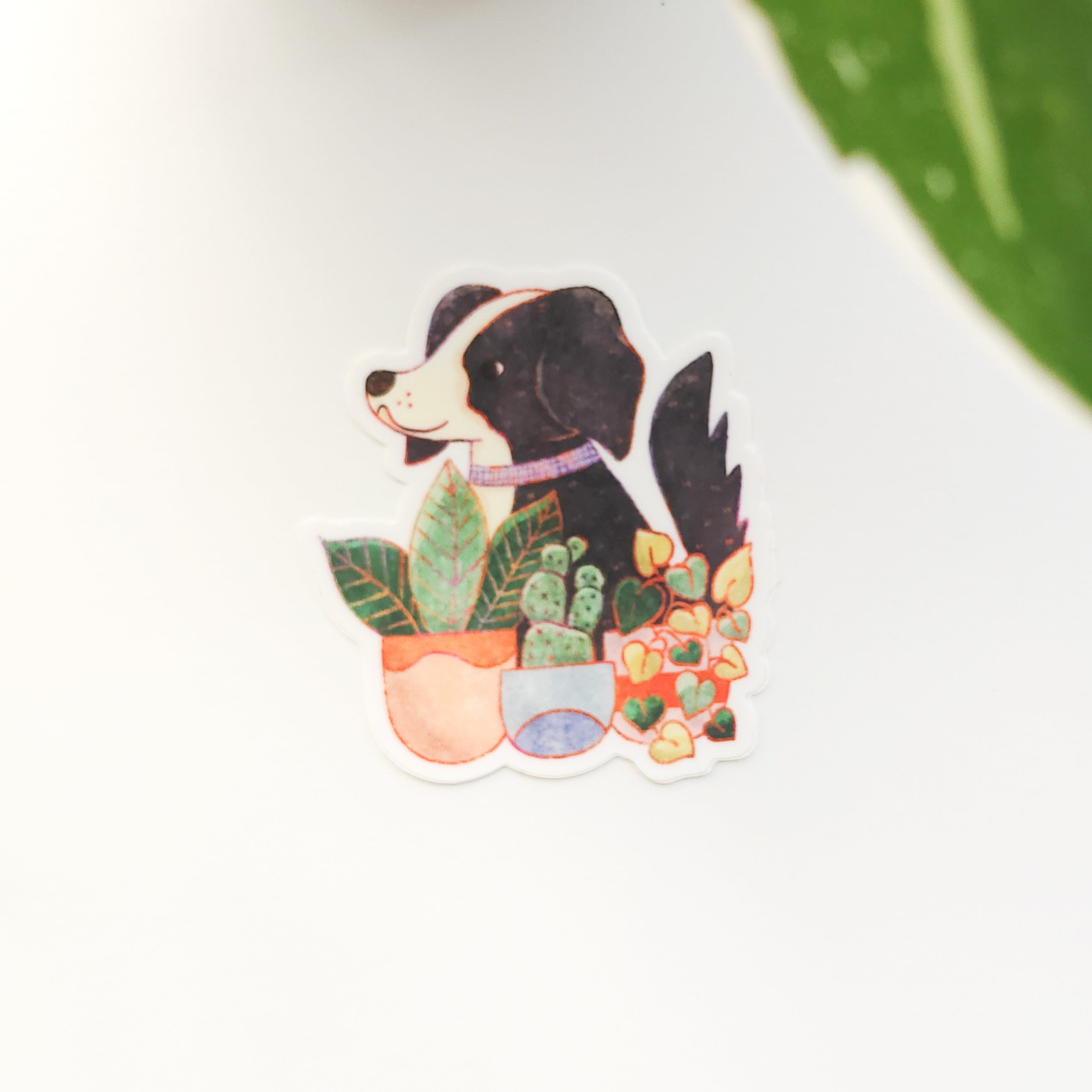 sticker of a black and white dog sitting in front of potted plants on a white background