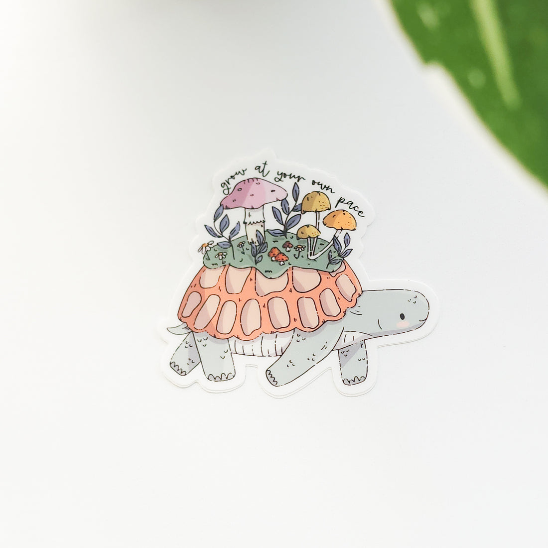 grow at your own pace turtle sticker on a white background with a leaf