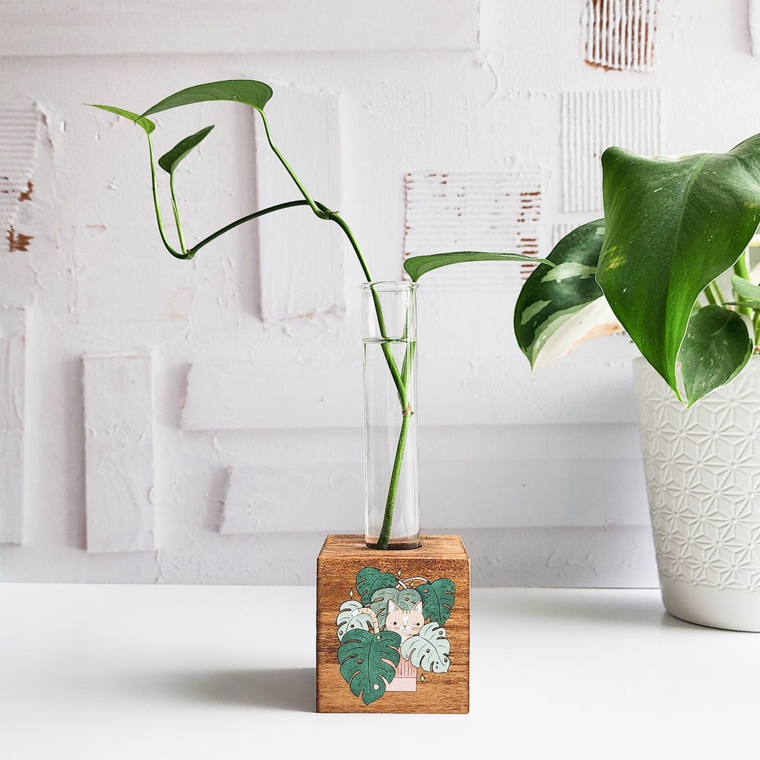 wood propagation block with a glass tube and plant cutting with the image of a cat in a monstera plant on front