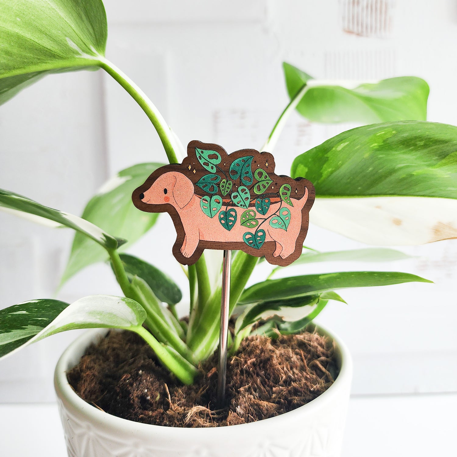 dachshund plant pick inside of a potted plant against a white brick background