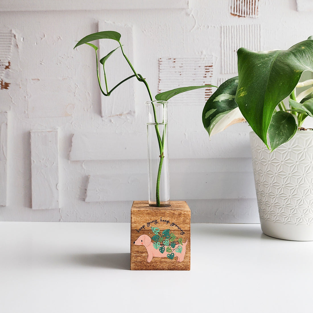 dachshund wooden propagation station with a wooden block and glass tube with a green plant cutting on a white background
