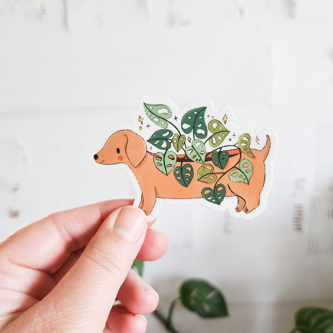 dachshund planter sticker held in a hand