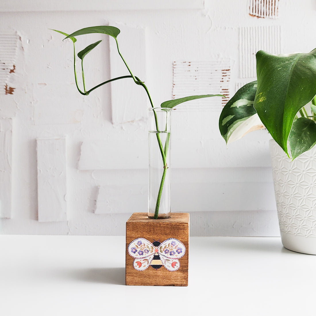 wooden propagation station with a glass tube and green plant and a bee illustration on the front