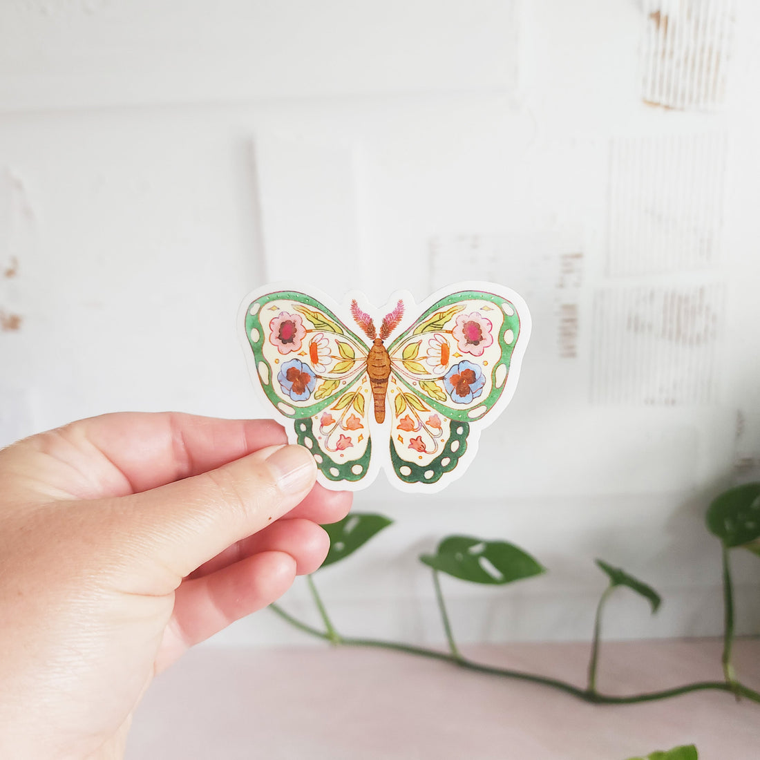 floral butterfly sticker held in front of a white wall with a plant