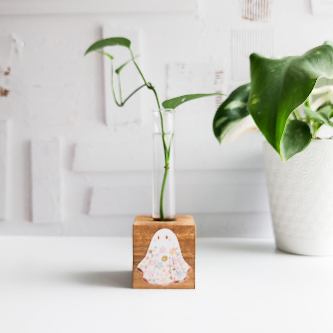wooden block propagation station printed with a floral ghost. It has a glass tube with a green plant cutting on a white background.