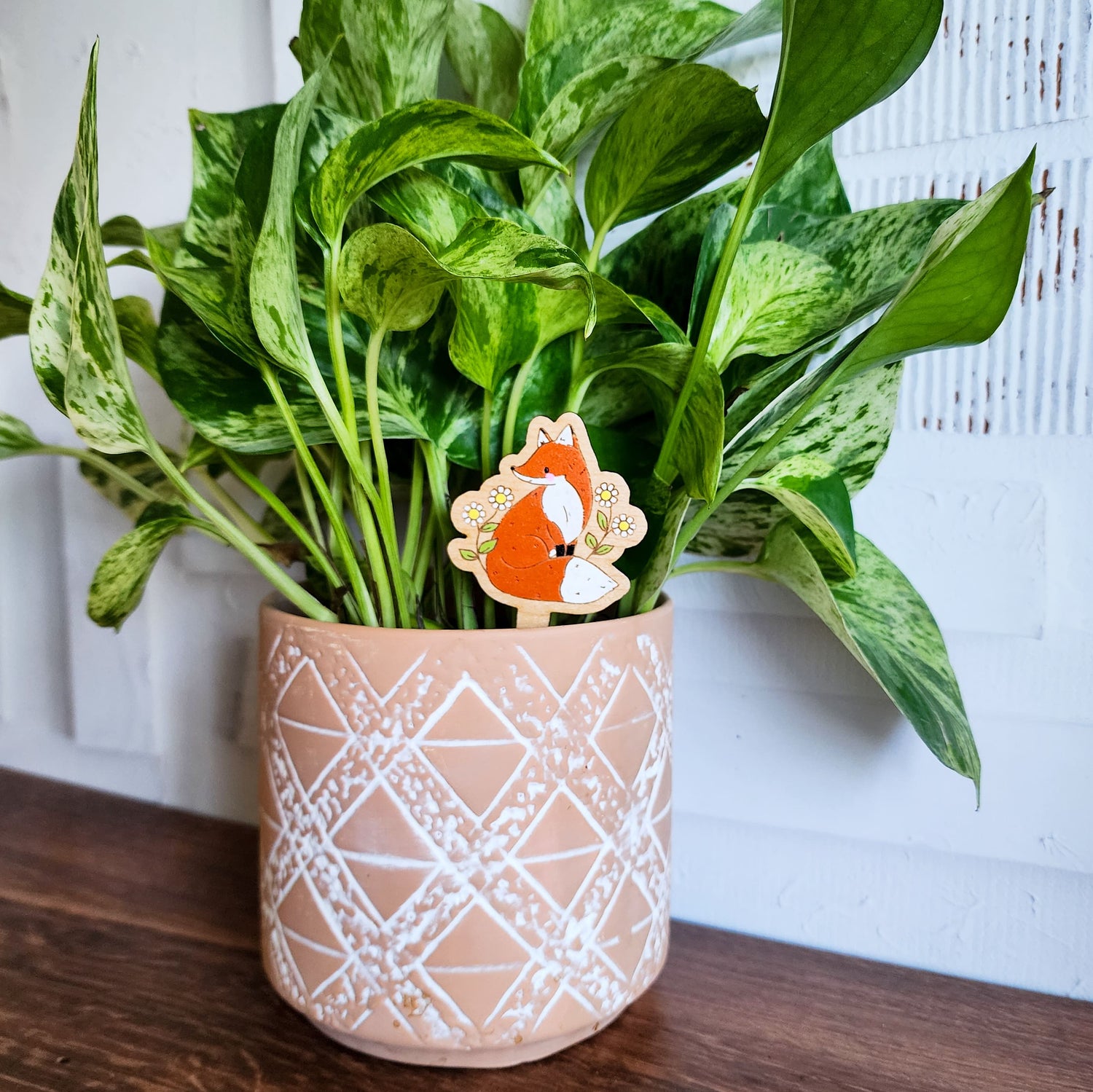 fox plant pick in a houseplant