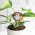 Decorative plant stake with a rabbit floral design in a pot against a white background