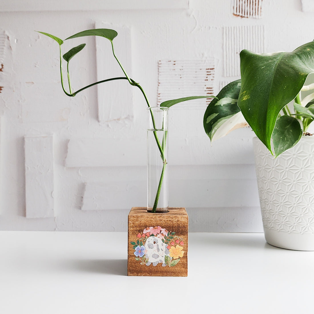 wooden propagation station with a glass tube and plant cutting and a bunny illustration printed on the front