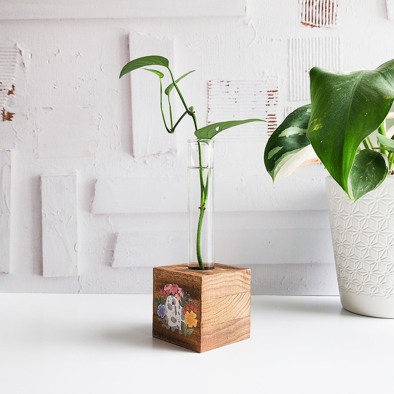 wooden propagation station with a glass tube and plant cutting and a bunny illustration printed on the front