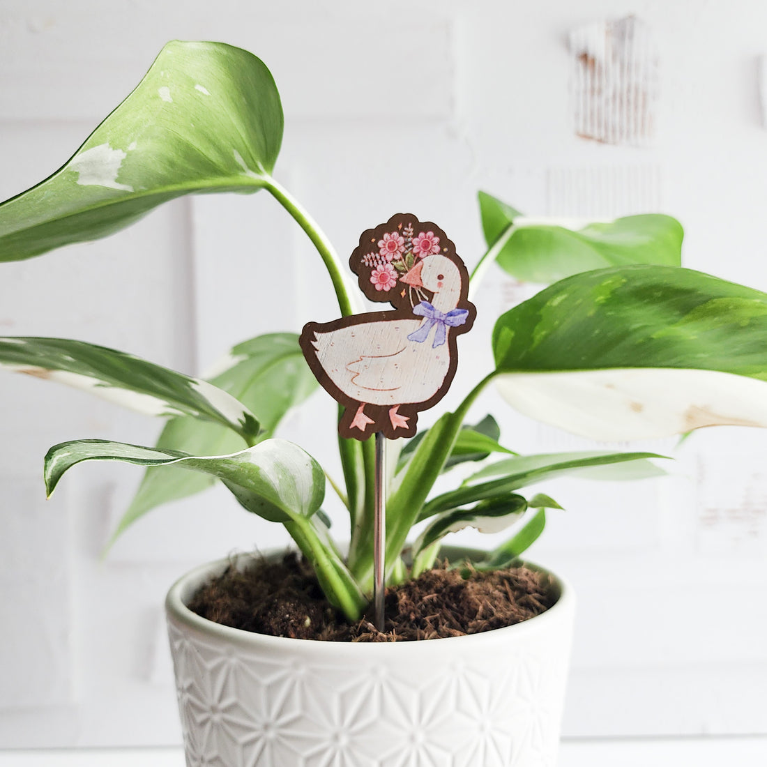 goose plant stake in a houseplant in front of a white brick background

