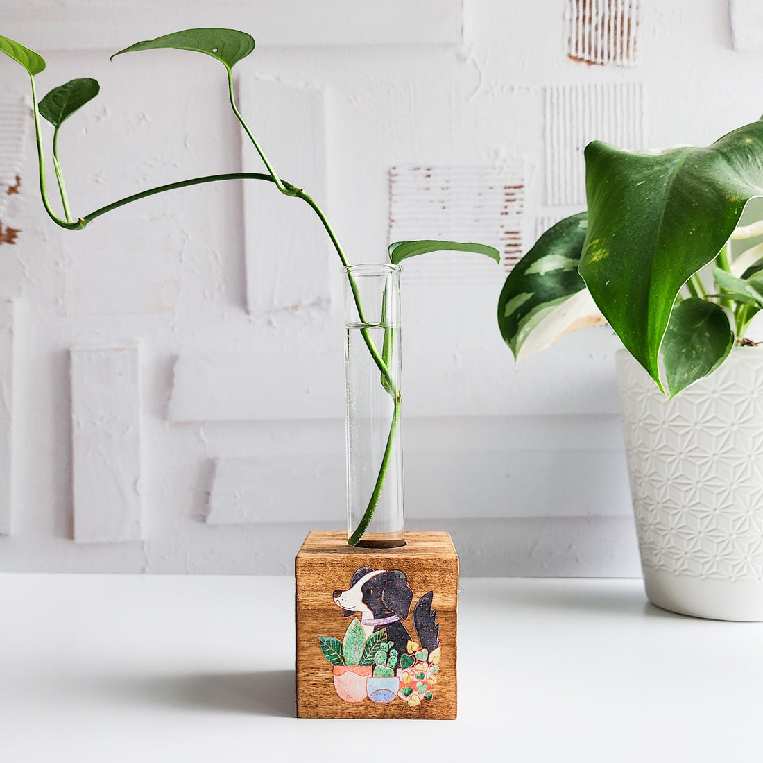wooden propagation station with a glass tube and plant cutting with the image of a dog and plants printed on front