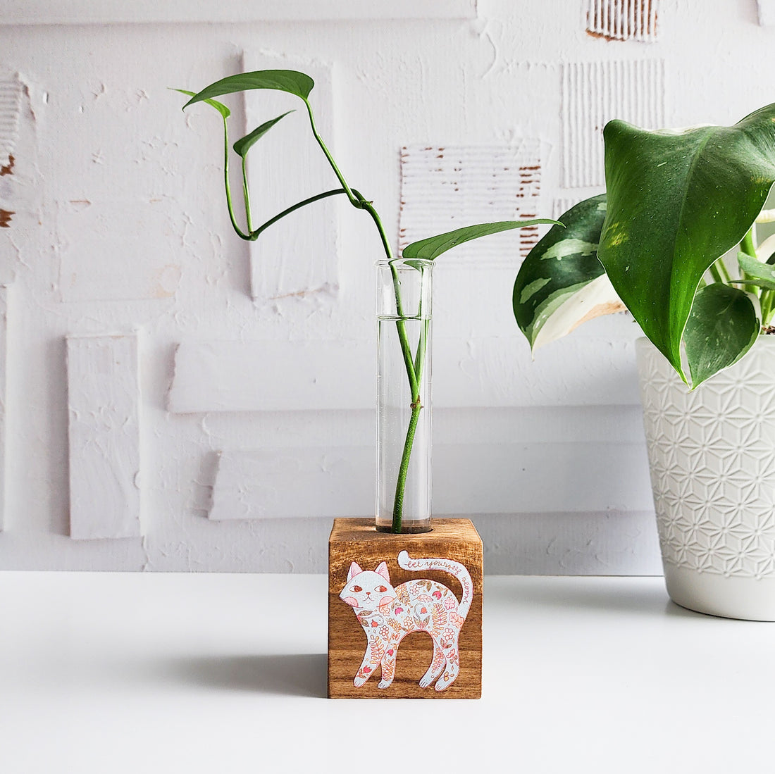 wooden block propagation with a glass tube and plant cutting and image of a cat printed on the front