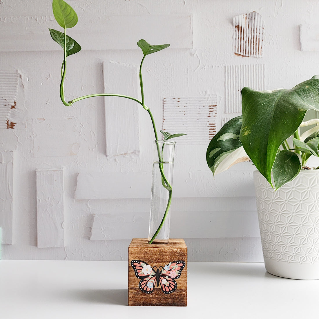 wood block propagation station with a glass tube and plant cutting and a floral butterfly printed on the front