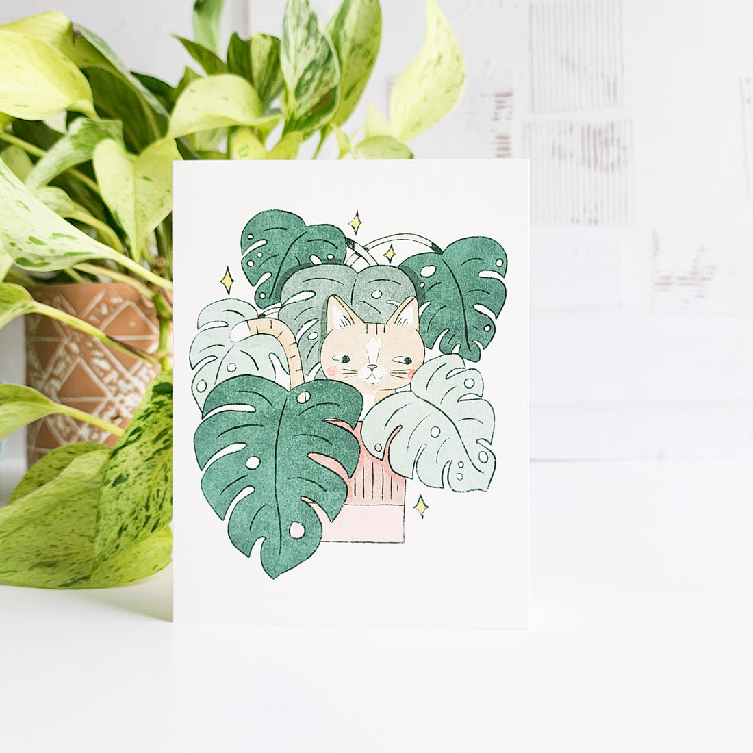 Illustration of a cat surrounded by green leaves on a white background with plants.