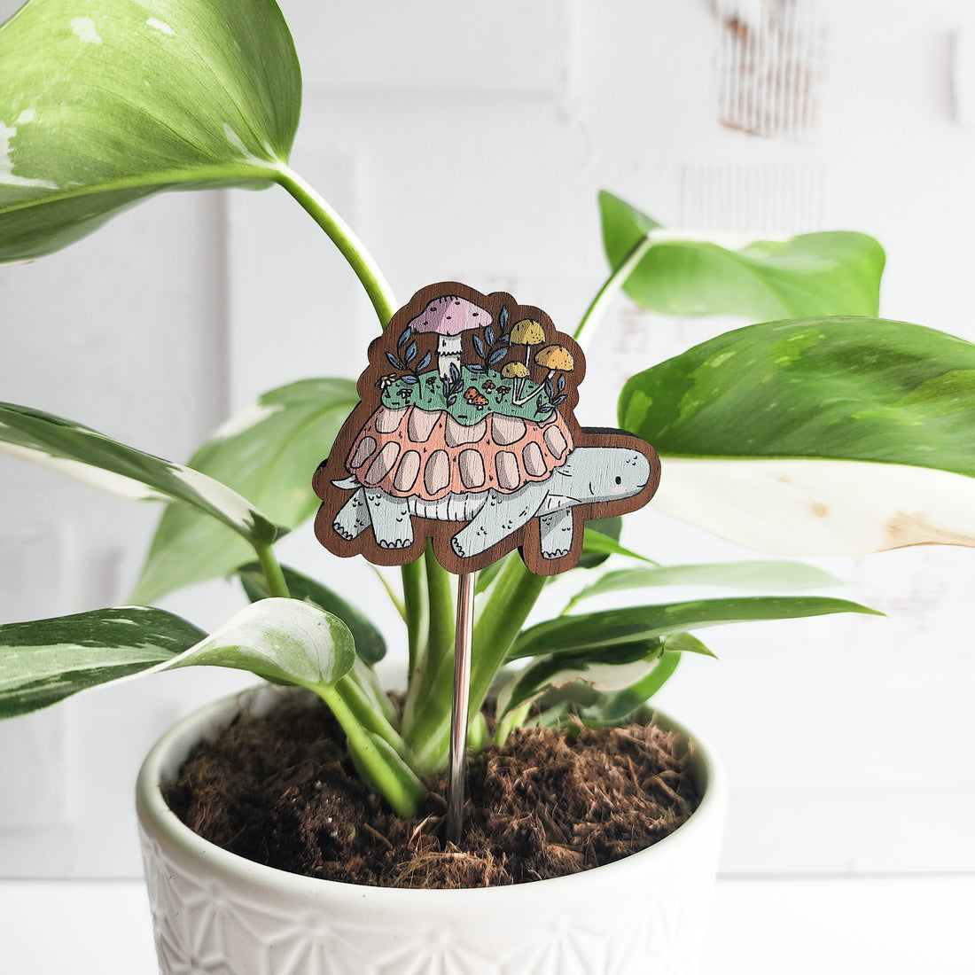 turtle plant pick inside of a houseplant against a white brick background